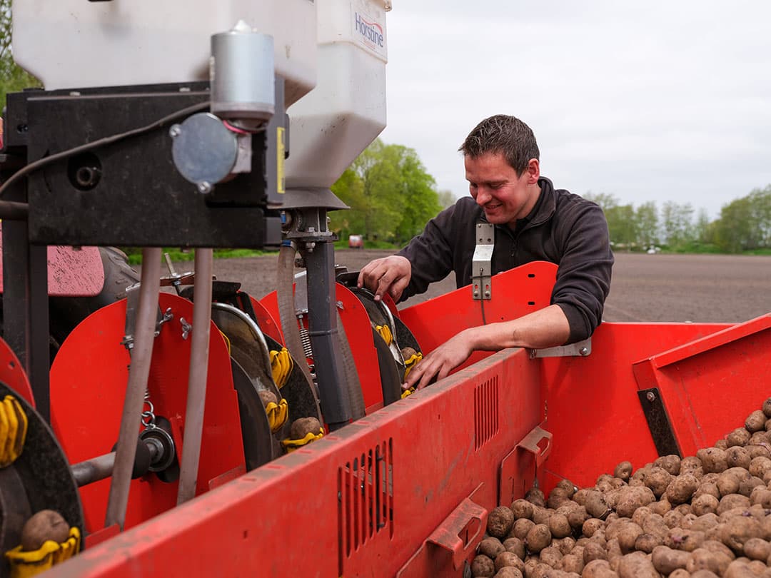 In het typisch veenkoloniale bouwplan zijn zetmeelaardappelen de hoofdmoot, waarvan 30 ha consumptieaardappelen en 15 ha TBM-pootgoed.