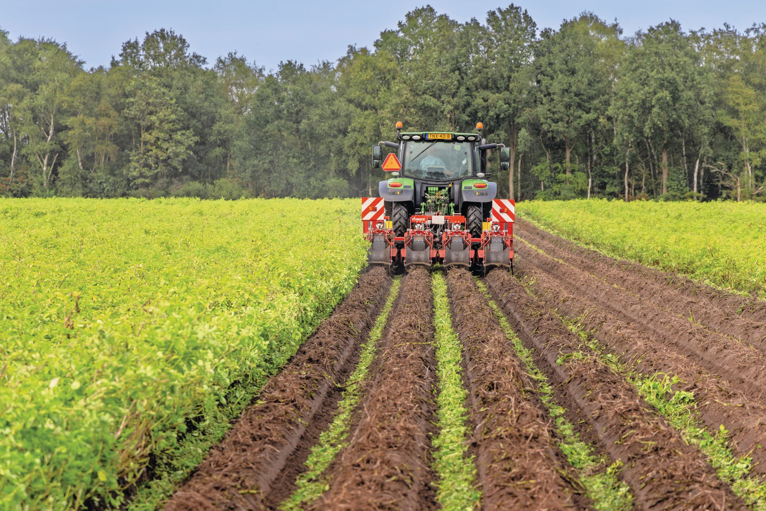 aardappelloof doden alternatief voor chemisch