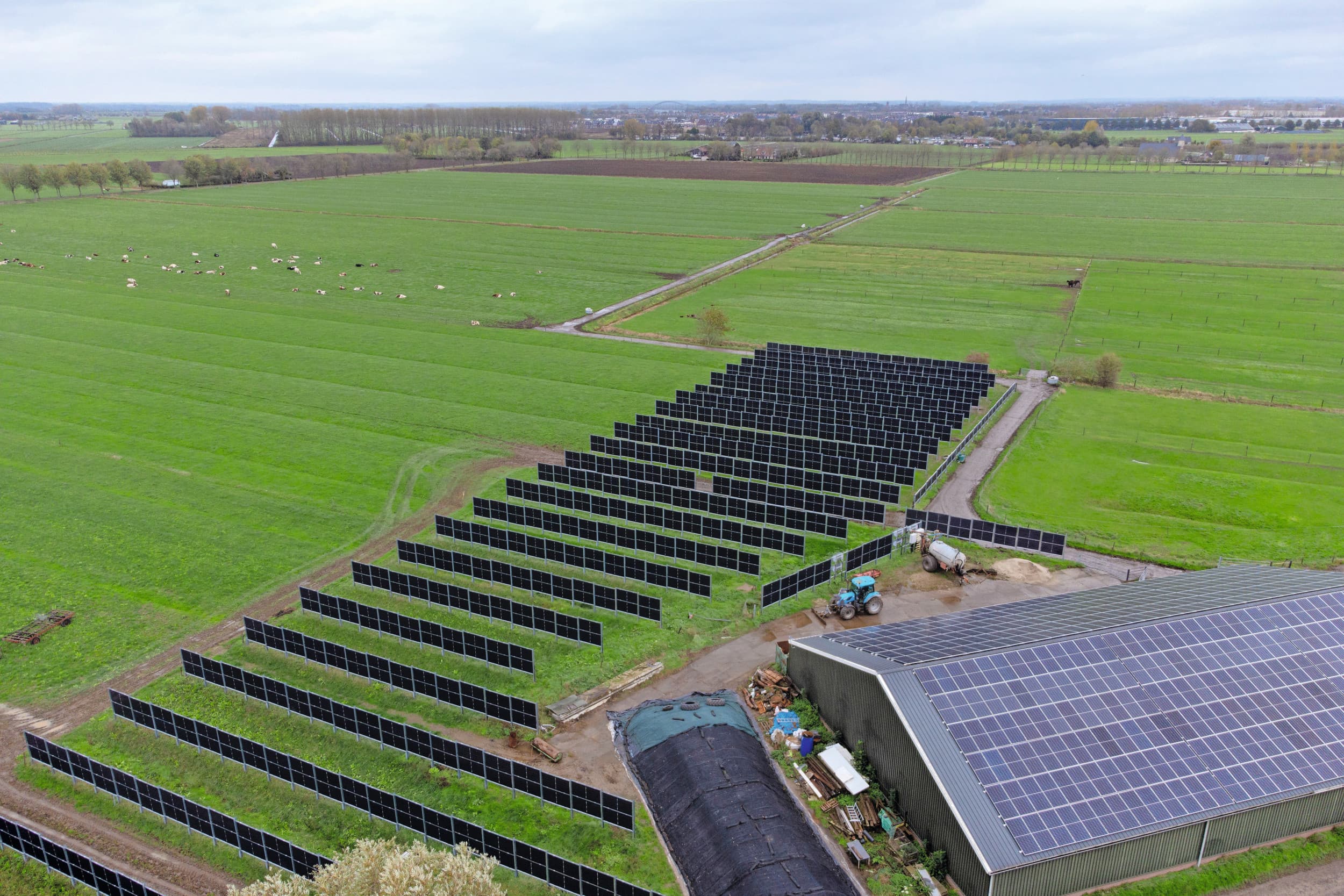 Staande zonnepanelen op een melkveebedrijf. Foto: Herbert Wiggerman