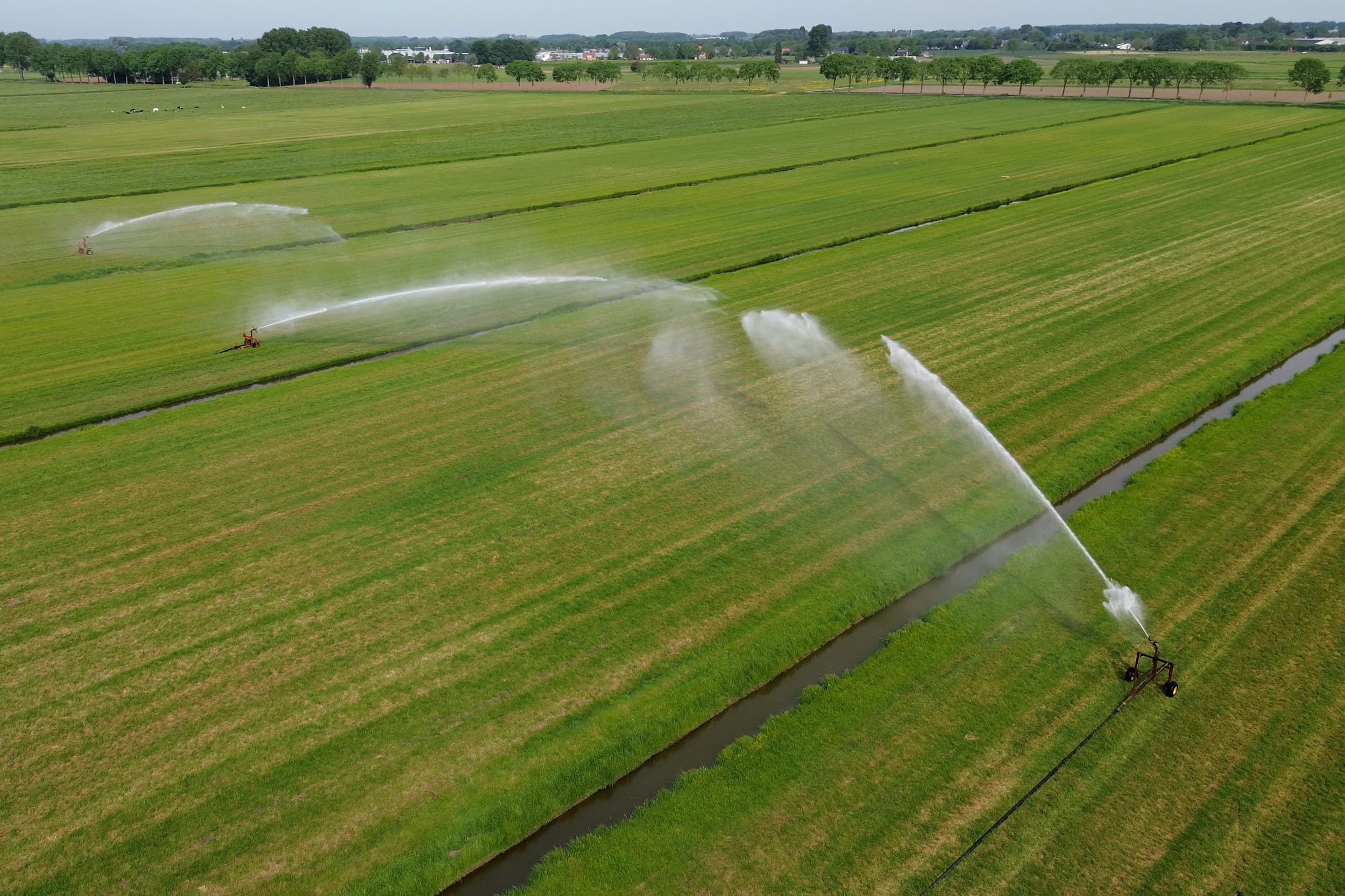 droogte kabinetsval
