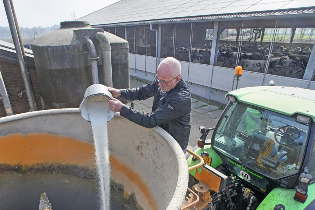 Willy Baltussen voert een laag eiwit in zijn rantsoen. Gemiddeld over de laatste 5 jaar slechts 142 gram per kilo droge stof per koe. Om fosfaatvoorziening op peil te houden voert hij monocalciumfosfaat bij.