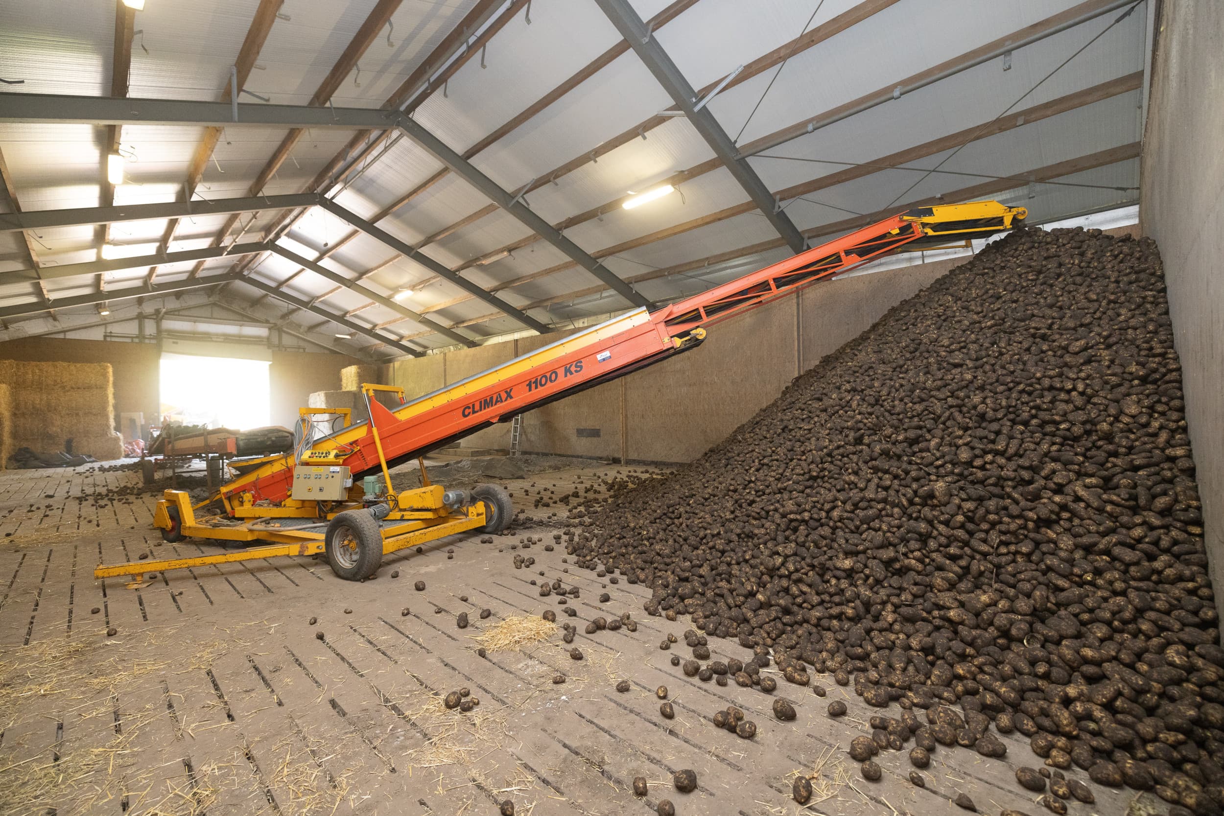 areaal aardappelen Noord-West Europa