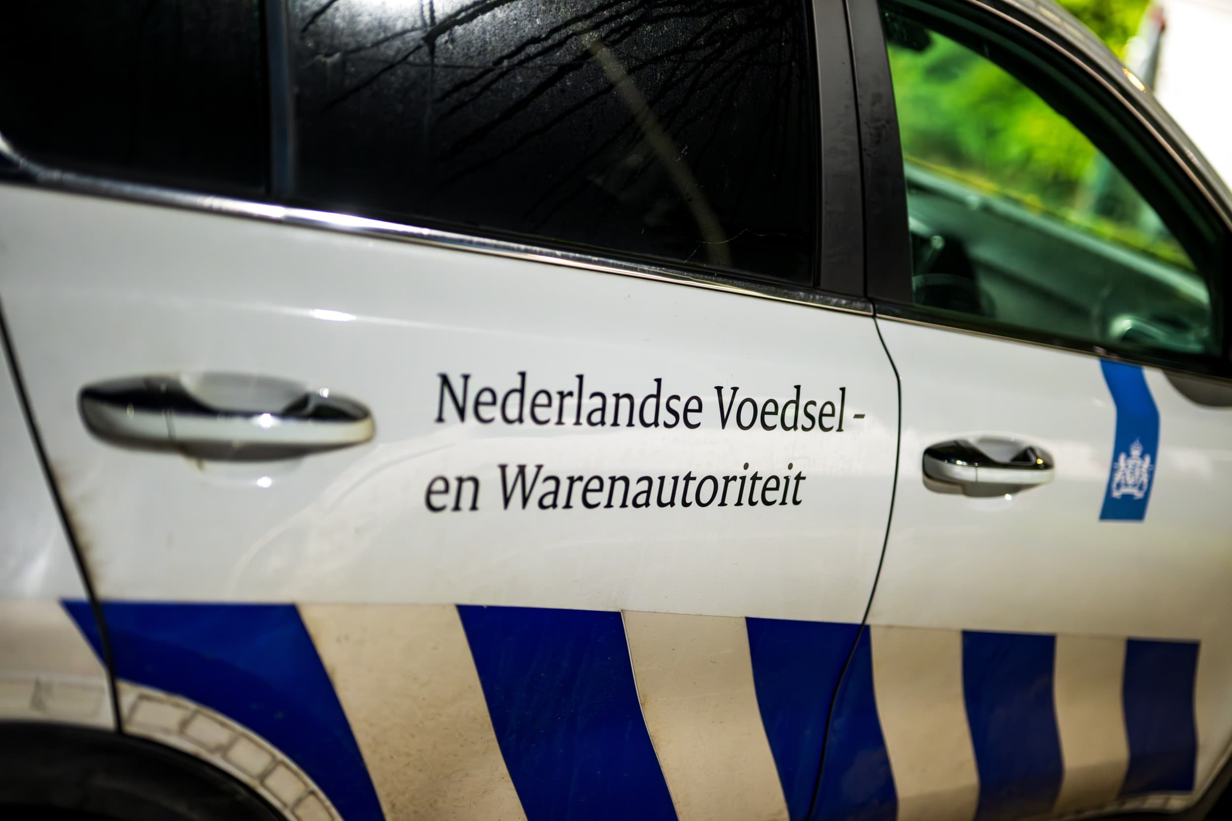 De NVWA heeft eind mei ingegrepen op een boerderij in Gelderland waar illegale slachtingen van varkens plaatsvonden. Foto: ANP