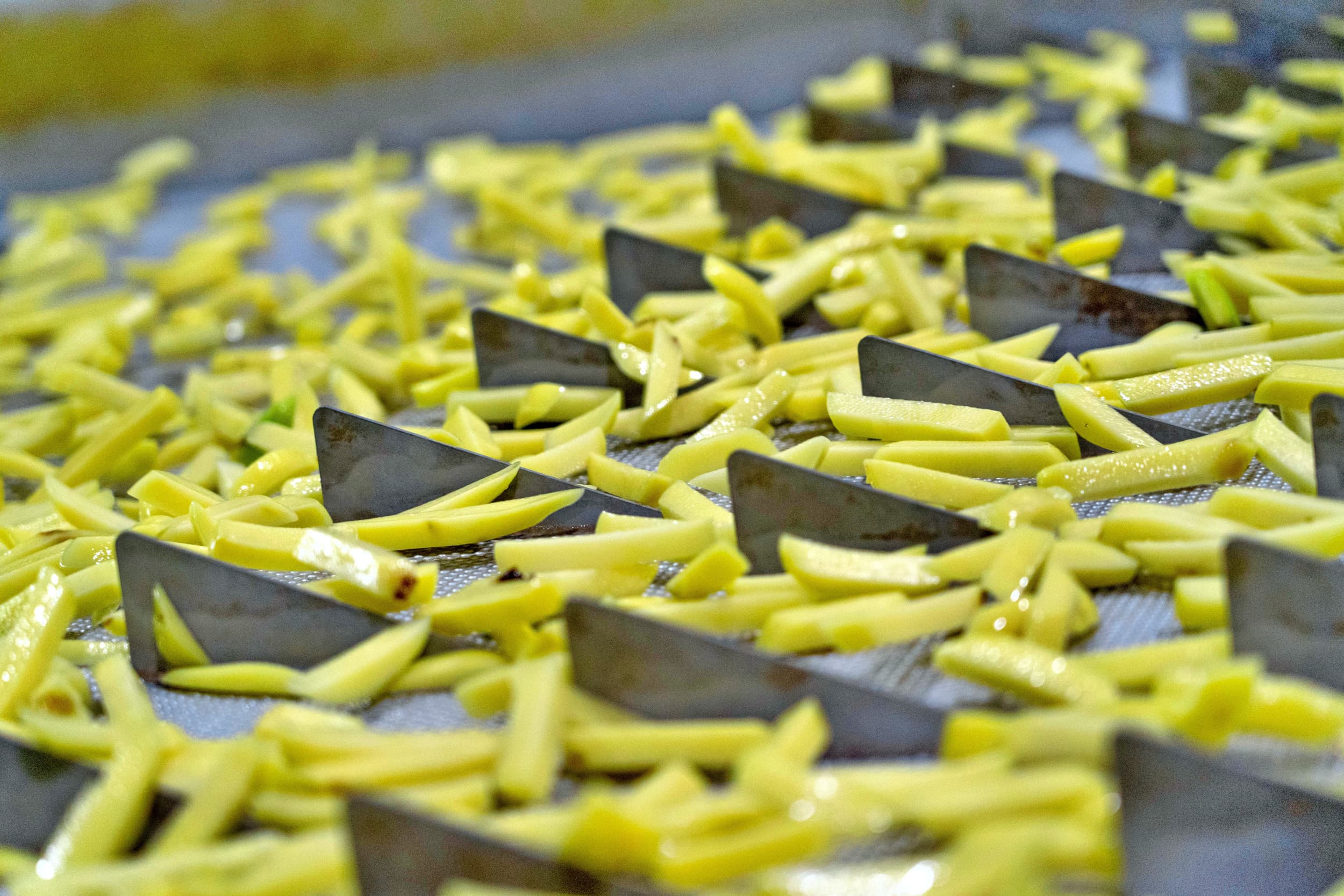 In de Belgische fritesfabrikant Clarebout ziet het Amerikaanse foodservicebedrijf Simplot Foods een ideale partner. Foto: Jan Willem Schouten