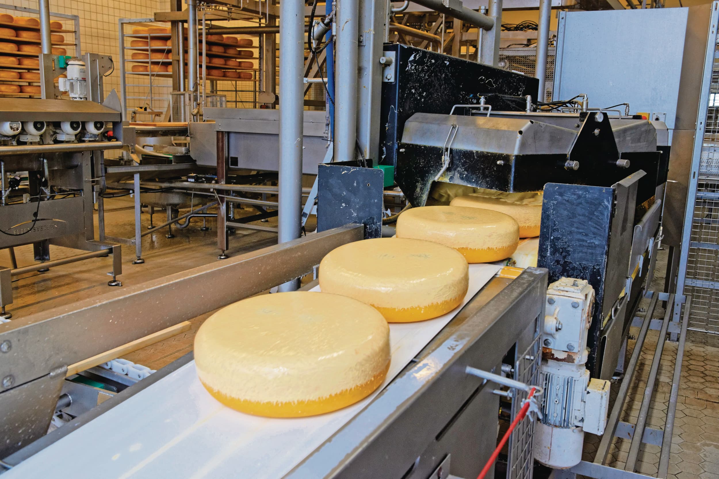 Kaasproductie. De Belgen produceerden vorig jaar flink meer kaas. Foto: Lex Salverda