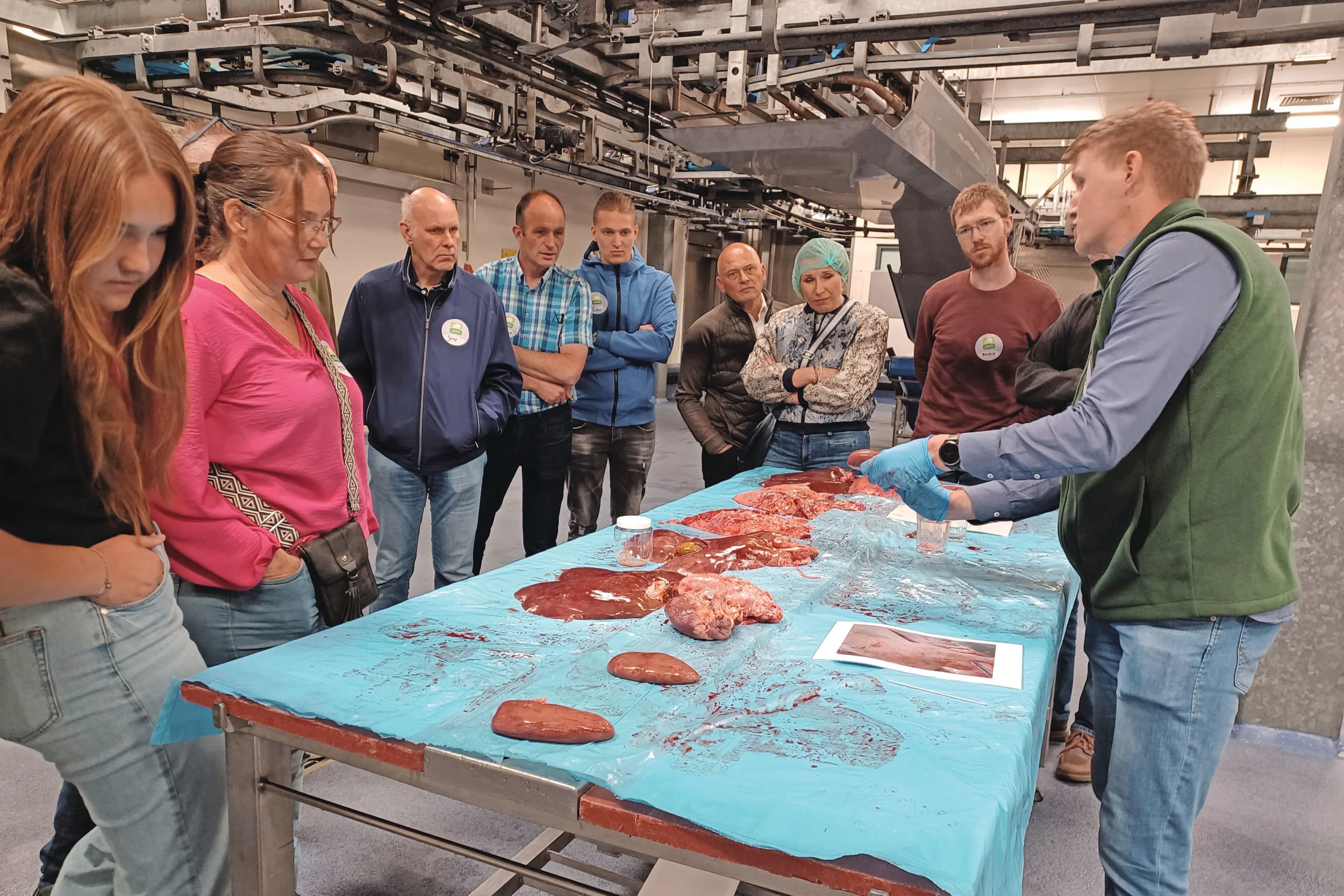 KDV-Dierenarts en bedrijfscoach Arjan van der Heide geeft uitleg over de afwijkingen die worden vastgesteld aan de organen van varkens: Foto: Kees van Dooren