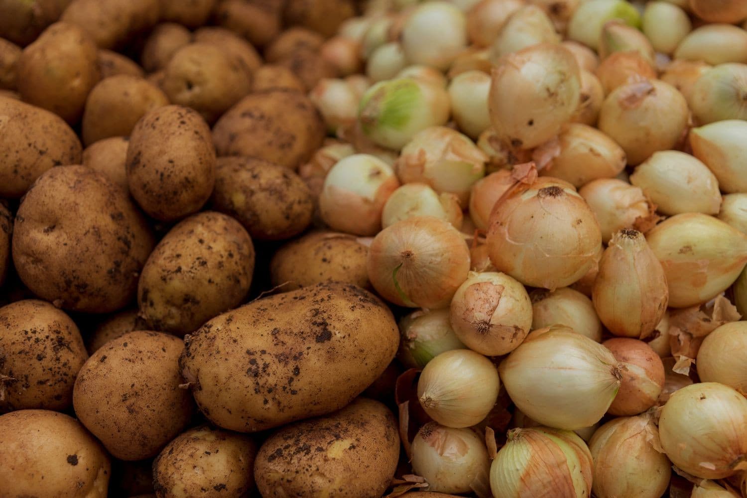 Beurs Zuid breidt uit met Limburg, waardoor noteringen voor aardappelen en uien voortaan ook gebaseerd zijn op transacties in die provincie. Foto: Canva/Ali Barut