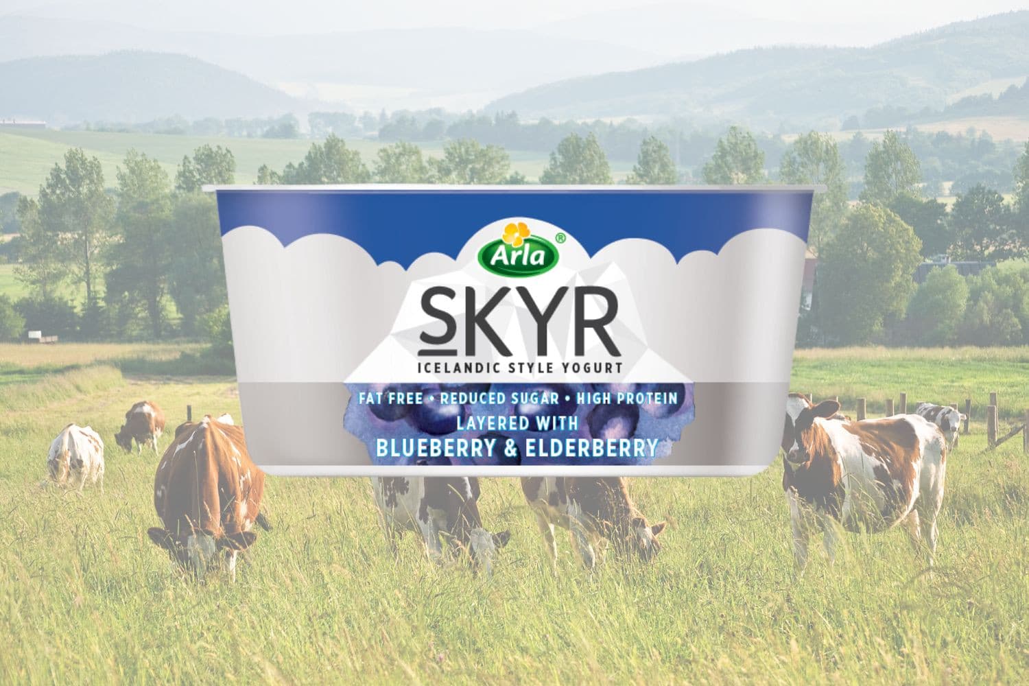 Skyr is een eiwitrijk zuivelproduct dat lijkt op een mix van yoghurt en kwark. Foto: Arla Foods / Mynewsdesk en Canva, beeldbewerking