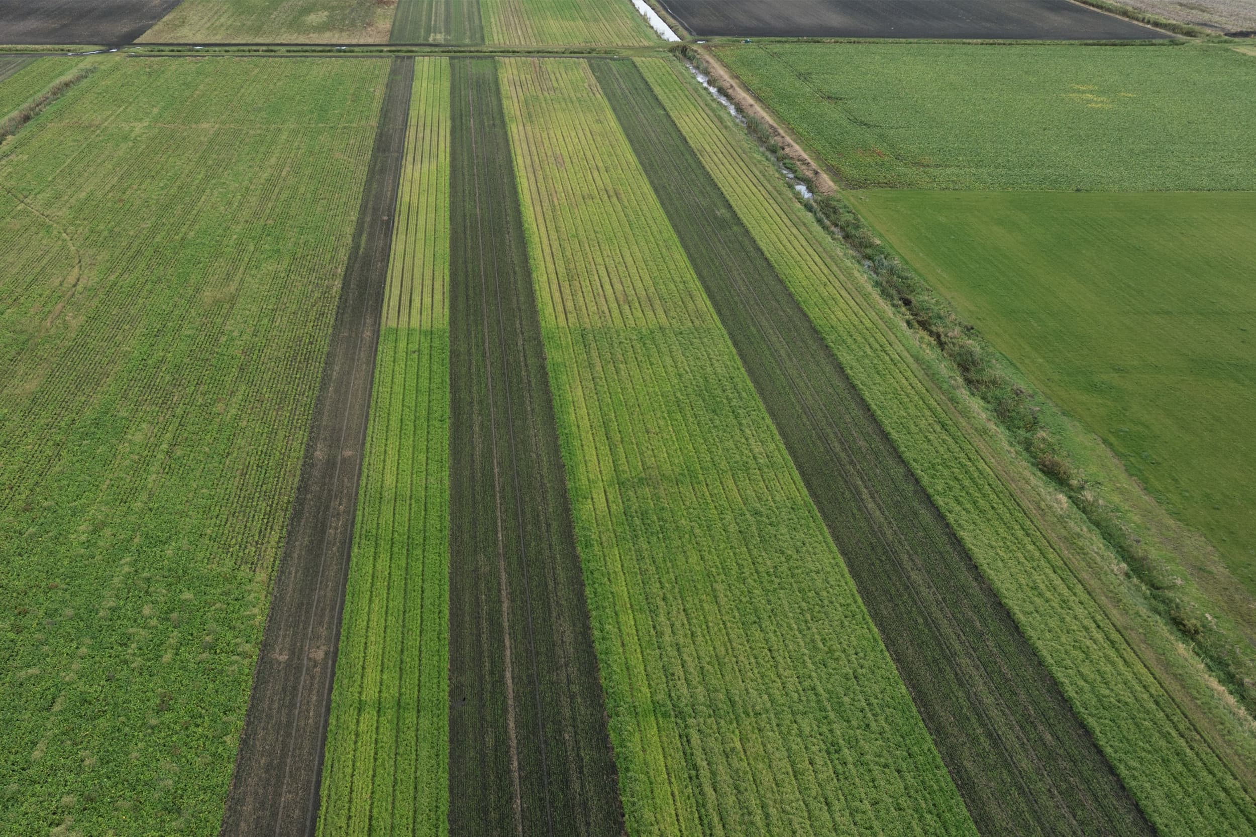 bionext tegen gangbare akkerbouw