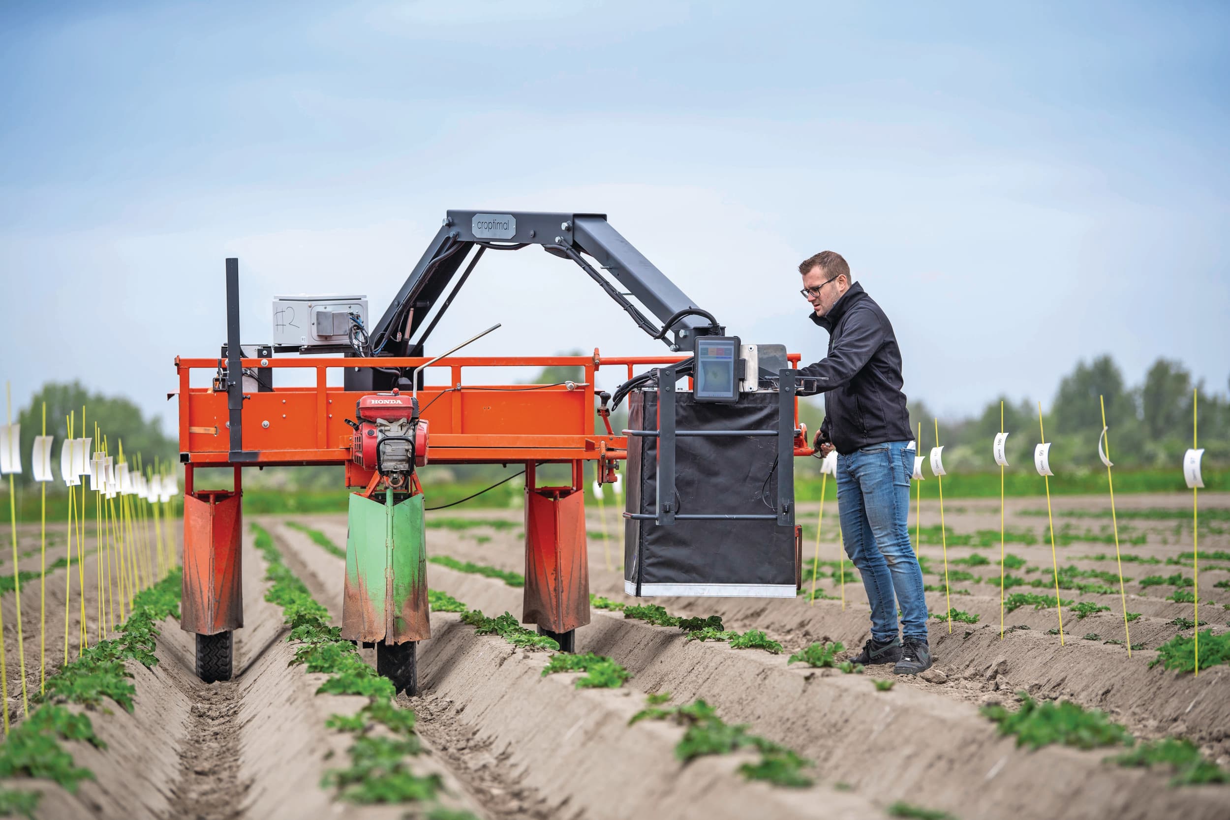 Op dit moment zijn ontwikkelaars vooral bezig met het verzamelen van veel beeldmateriaal van zieke en gezonde aardappelen om de algoritmes te ‘trainen’. De praktische toepassing is nabij. Foto: Mark Pasveer