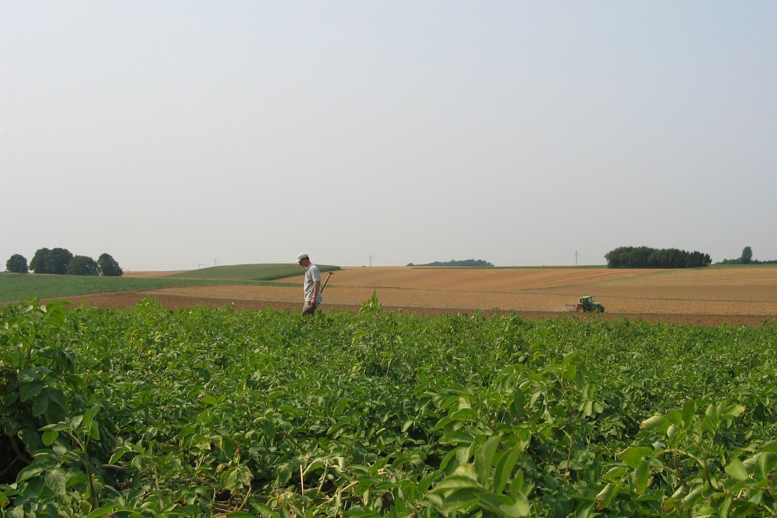 Duitse pachtprijzen voor landbouwgrond stijgen naar gemiddeld €399 per hectare, met grote regionale verschillen volgens cijfers van het Duitse landbouwministerie. Foto: Geert Hekkert
