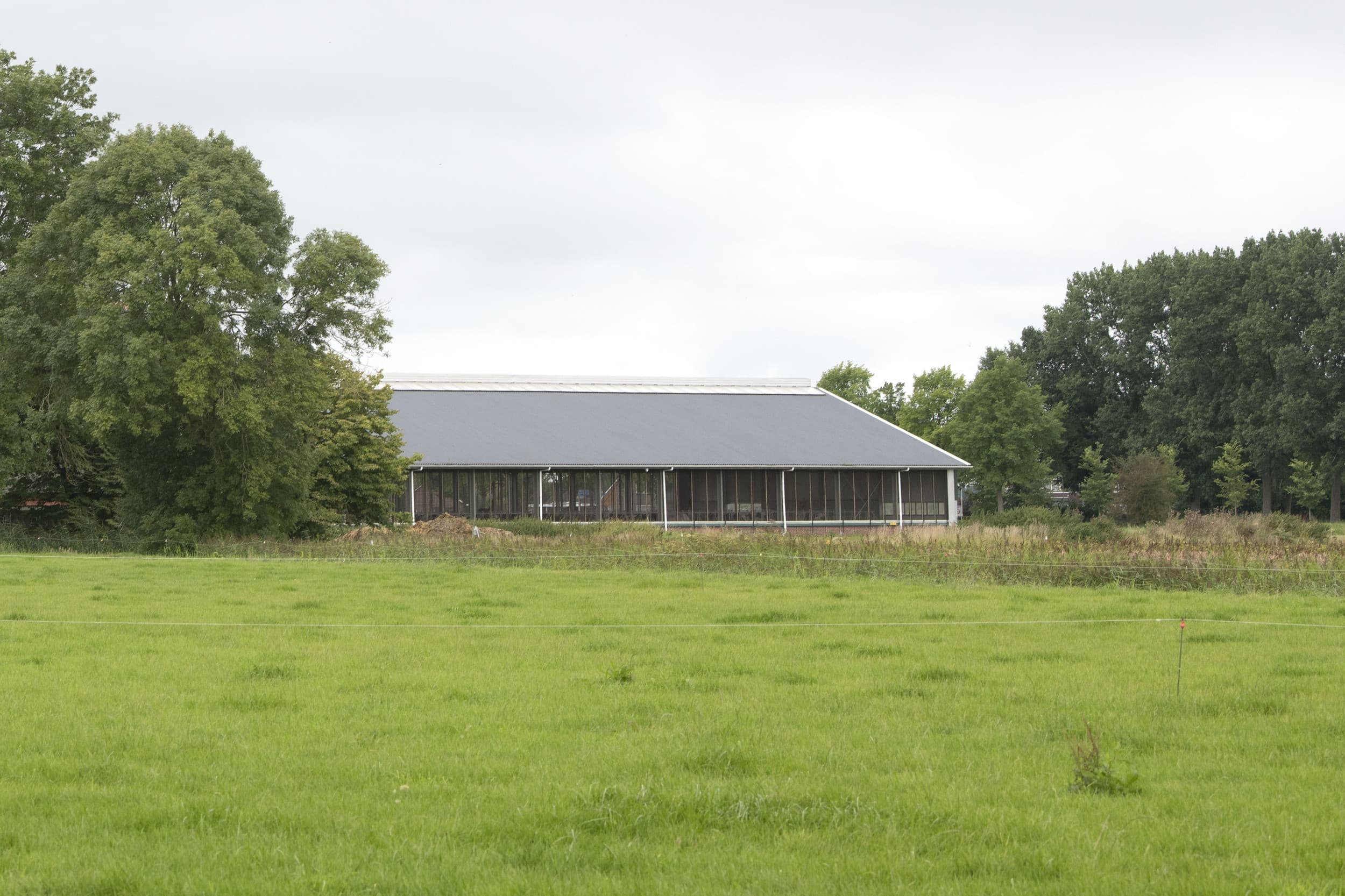 Friesland gaat in hoger beroep tegen uitspraak die handhaving bij PAS-melders verplicht stelt. Provincie wil deze boeren juist helpen. Foto ter illustratie. Foto: Mark Pasveer