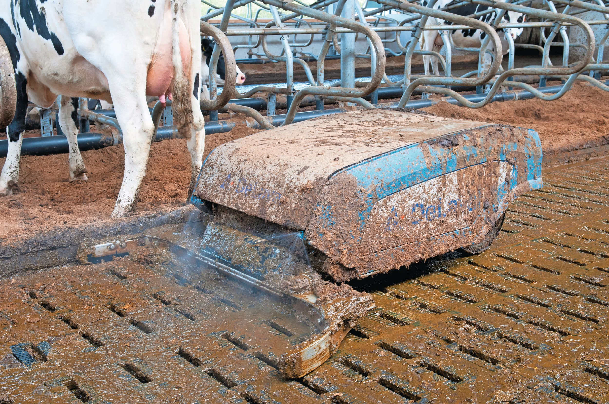 Door een mestrobot of mestschuif te voorzien van sproeiers wordt de ammoniakemissie verlaagd. Foto: Fotostudio Wick Natzijl