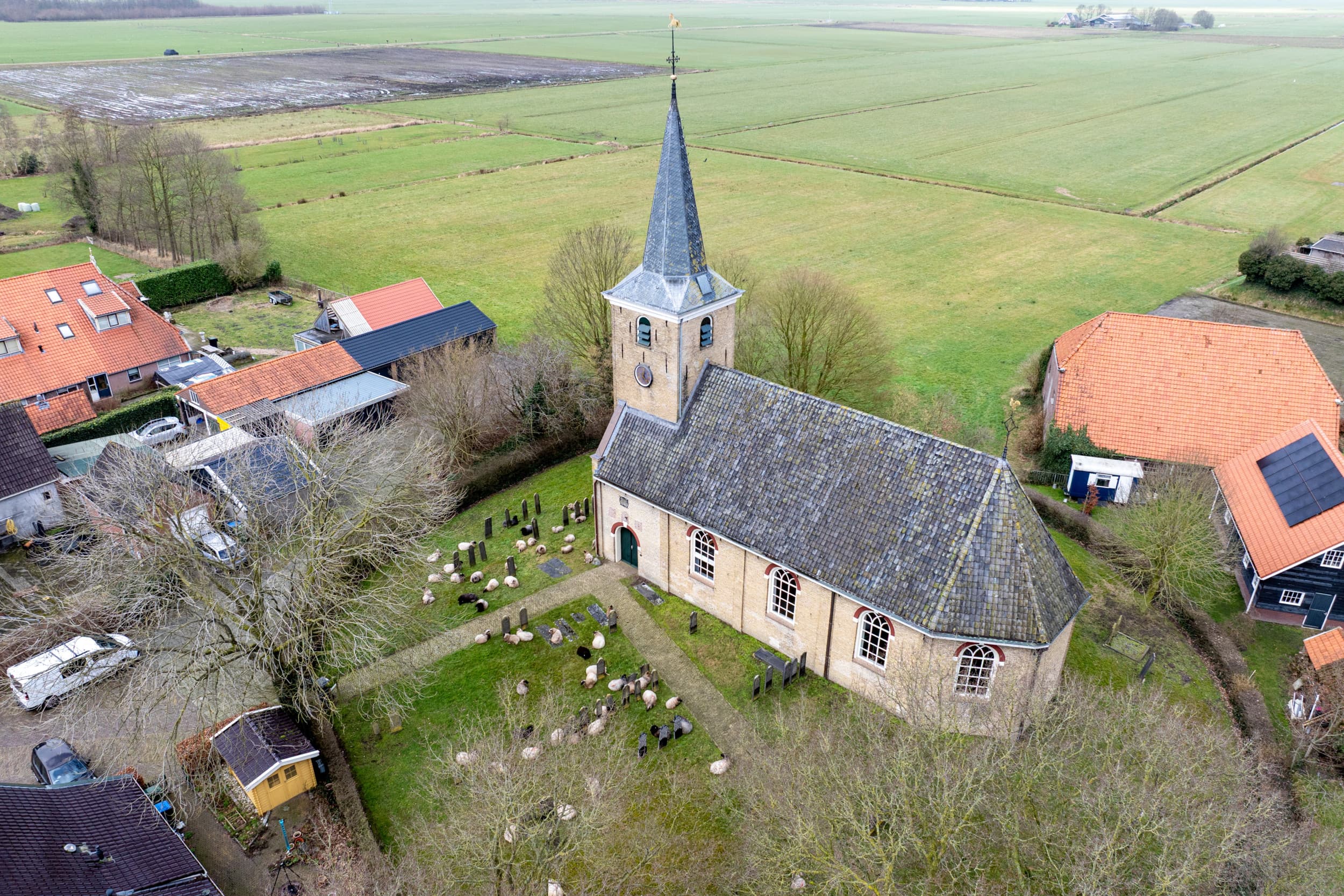 wolven Nederland
