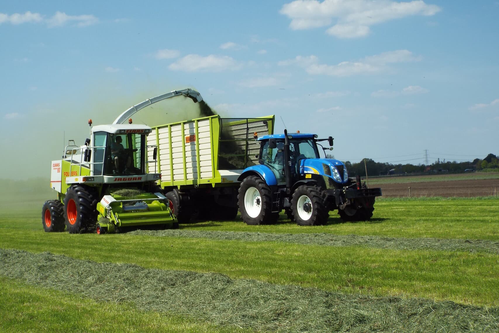 Foto: Barenbrug