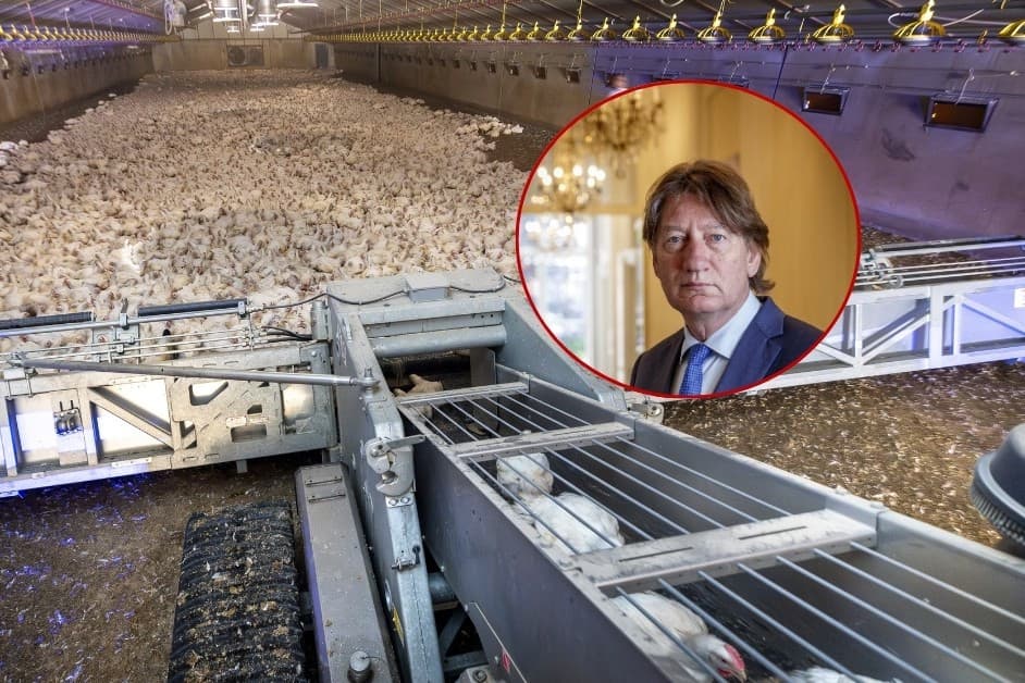 NAJK Kennismakelaar kennisevent pluimveehouderij