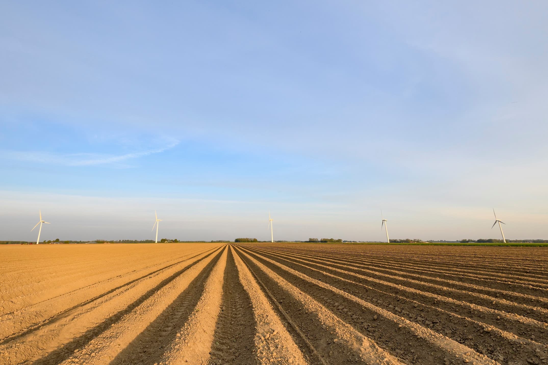 Foto’s: Potato Europe