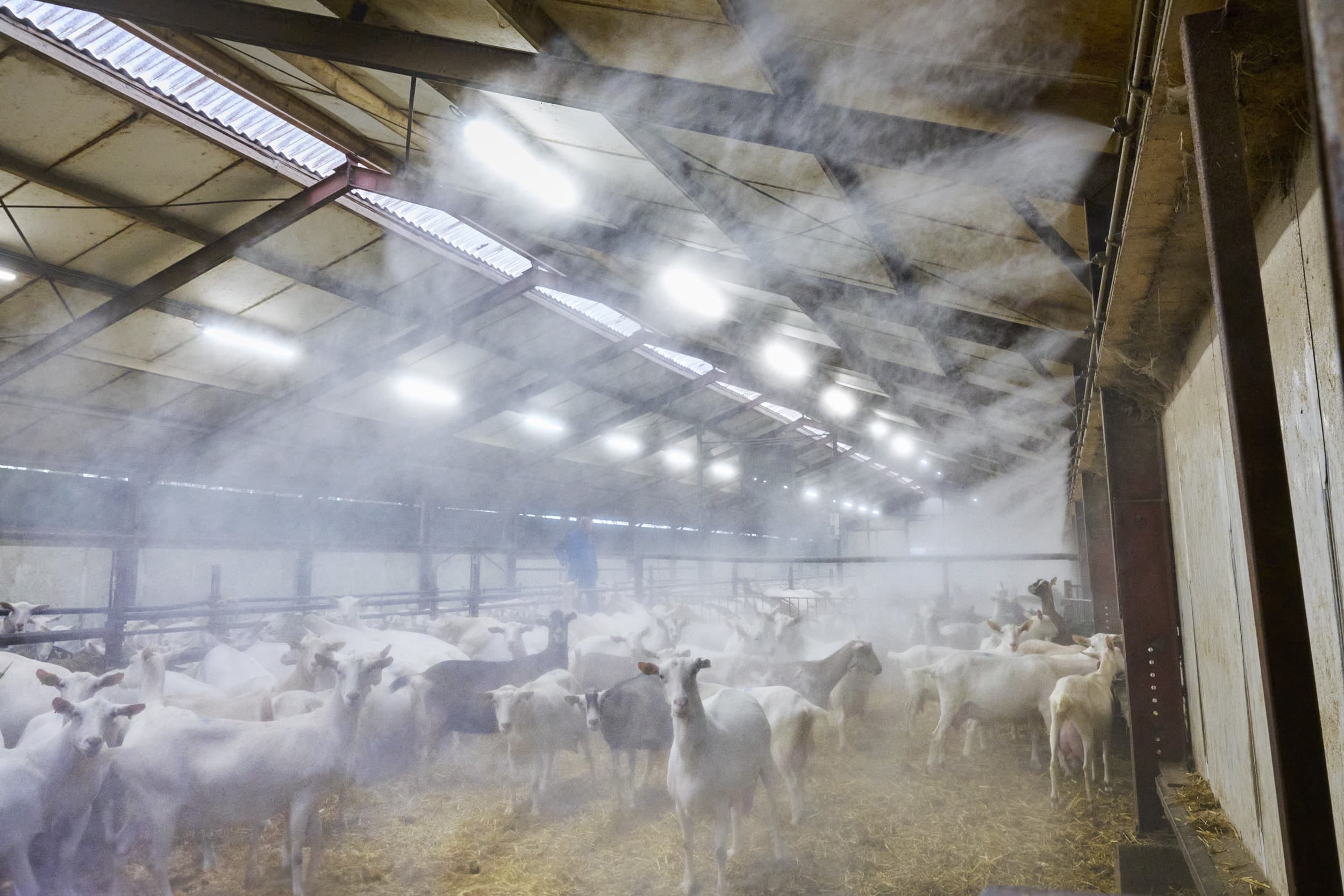 WUR geurhinder veehouderij