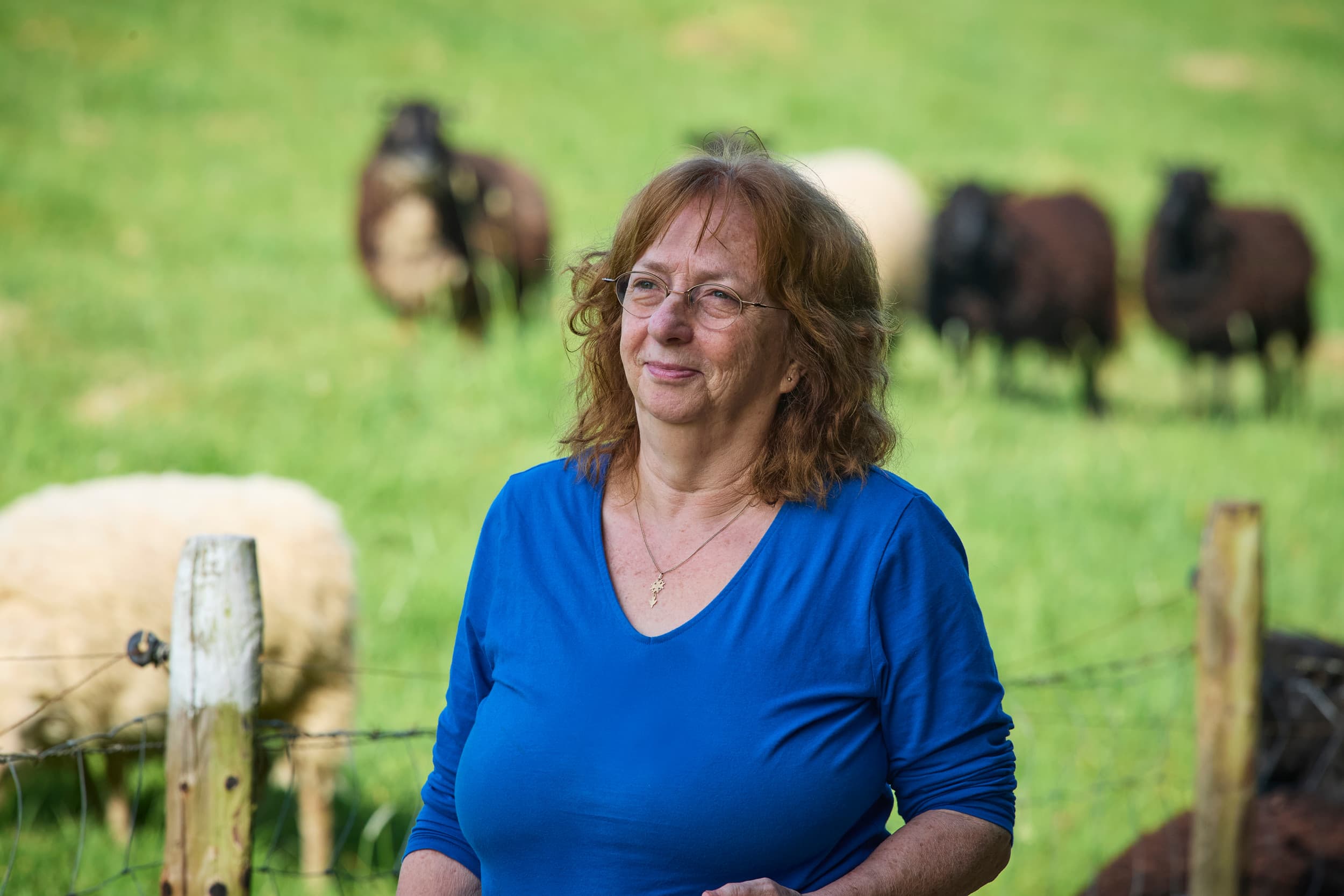 Saskia Duives-Cahuzak (LTO Schapenhouderij) waarschuwt dat de statusverlaging van de wolf nog weinig verandert voor boeren. Foto: Van Assendelft Fotografie