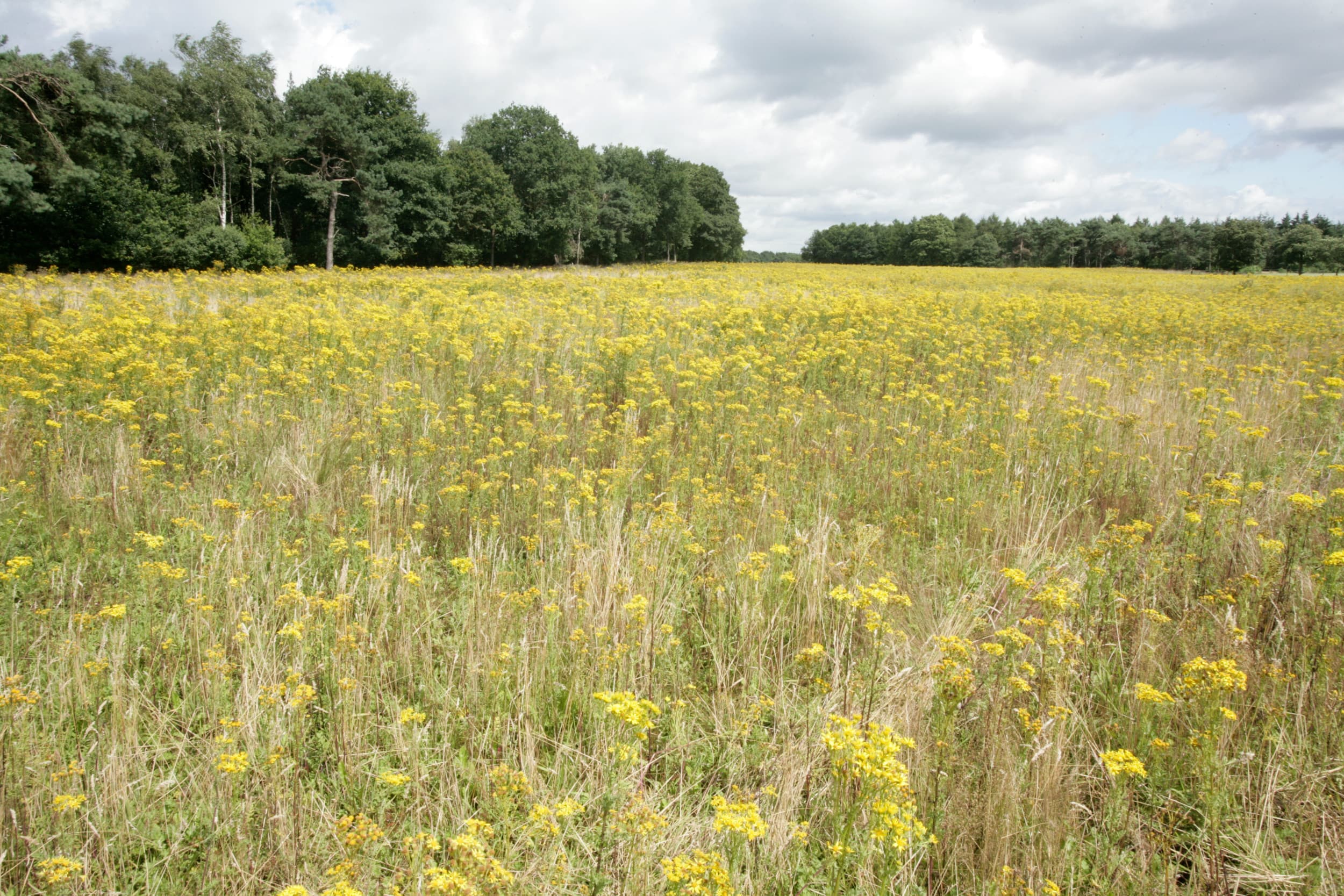 samenwerking Nationale Parken en boeren