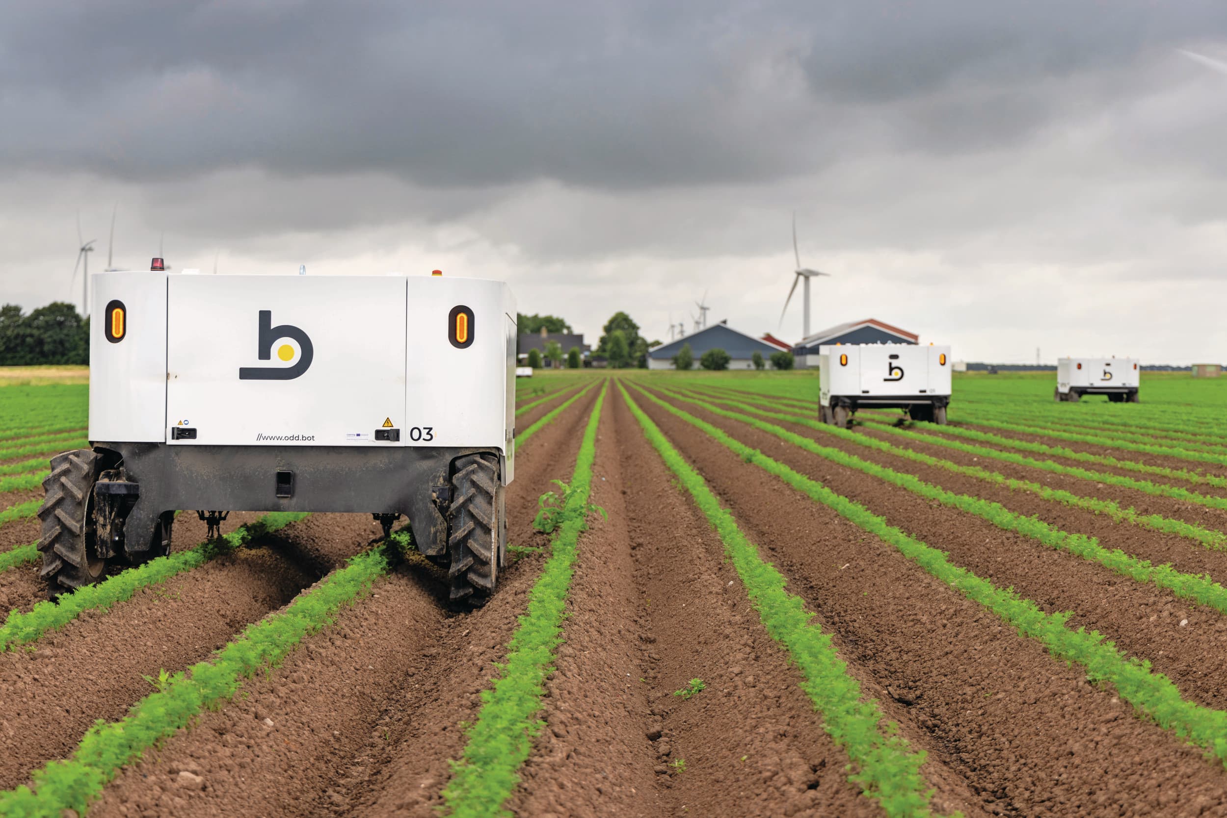 Vier Odd.Bot onkruidwieders draaiden deze zomer op proef op de We Grow Organic Farm in Flevoland. Voor gerobotiseerd onkruid bestrijden is grote belangstelling, omdat arbeidskrachten hiervoor steeds lastiger te vinden zijn en het pakket gewasbeschermingsmiddelen ieder jaar kleiner wordt. Foto: Koos Groenewold