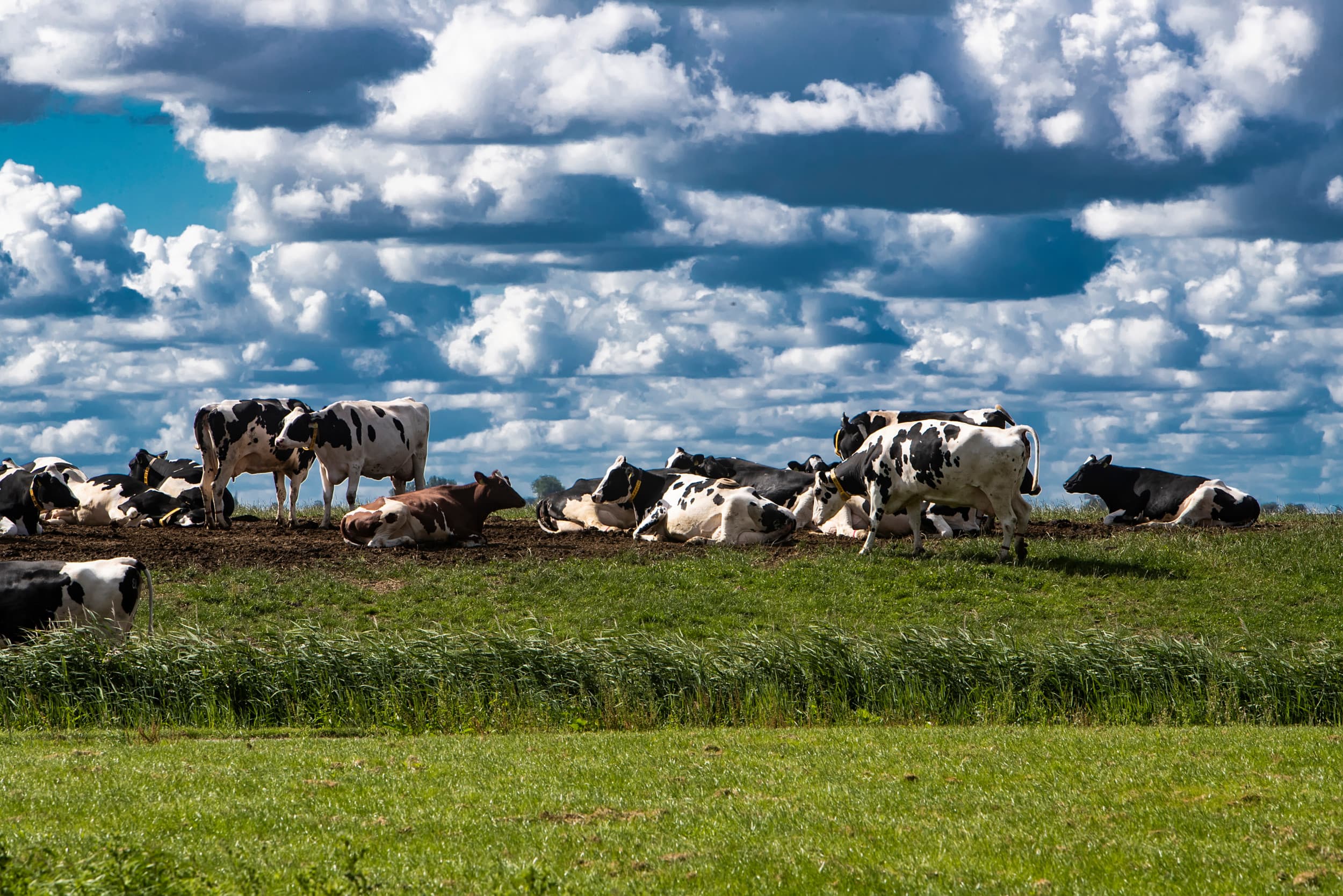 kennisoverdracht doelsturing