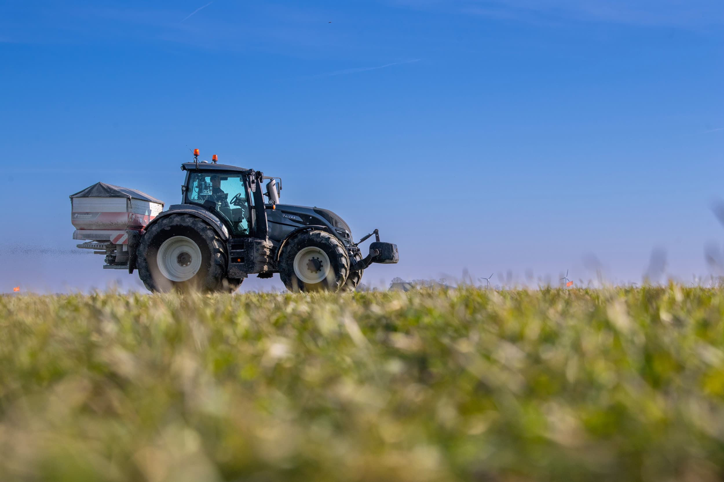 Renure moet een duurzaam alternatief worden voor gewone kunstmest, waardoor boeren minder kunstmest uit het buitenland hoeven te halen. Foto: Mark Pasveer