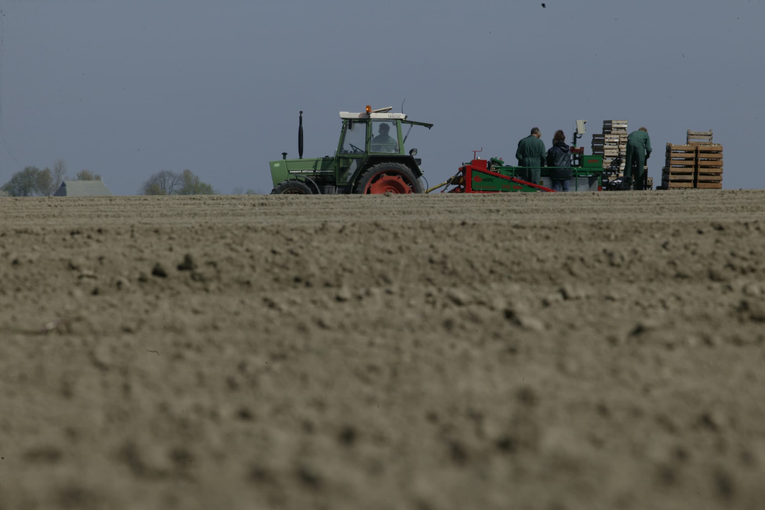 HZPC recordomzet pootaardappelen
