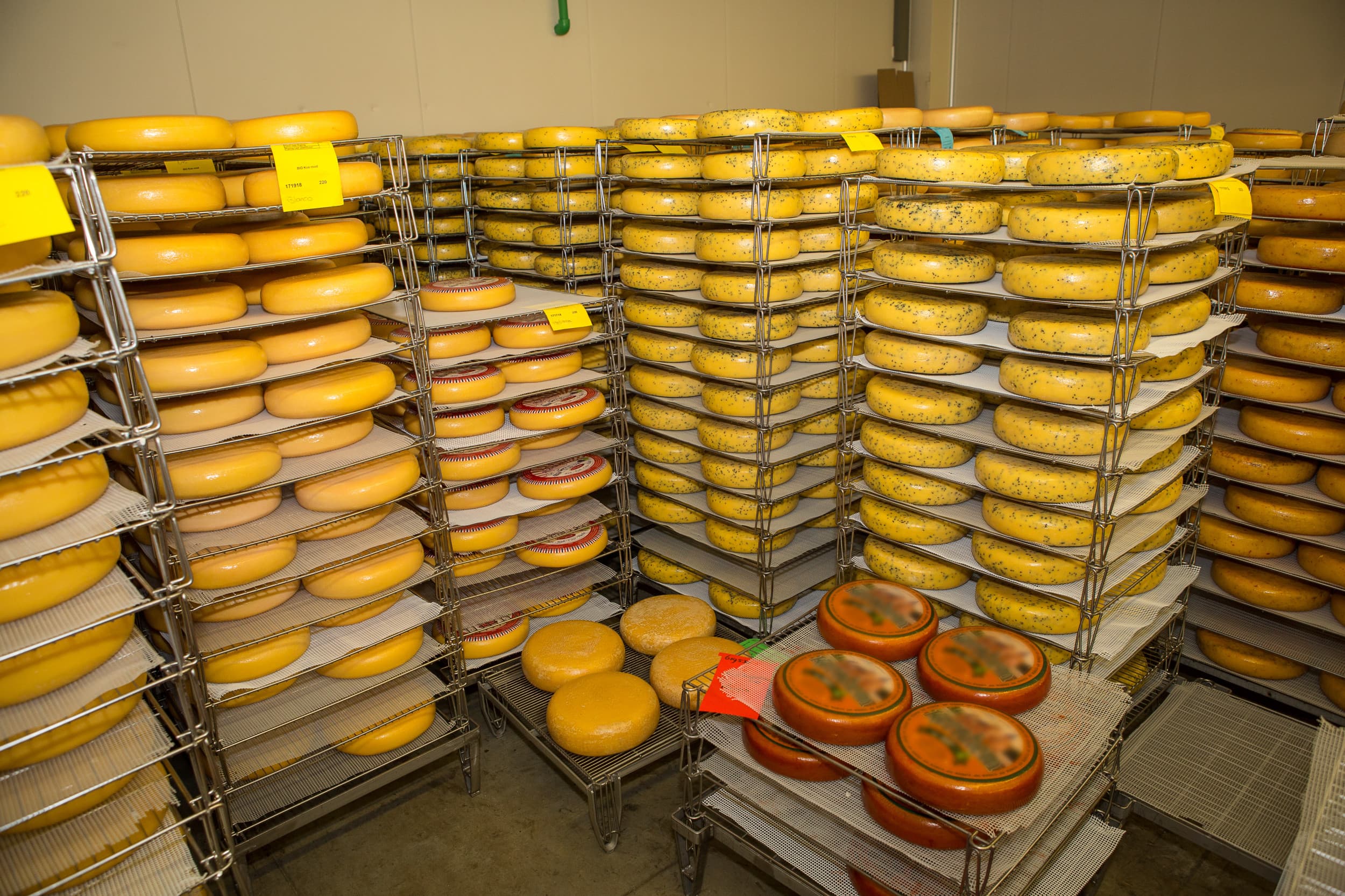 daling kaasexport Verenigde Staten