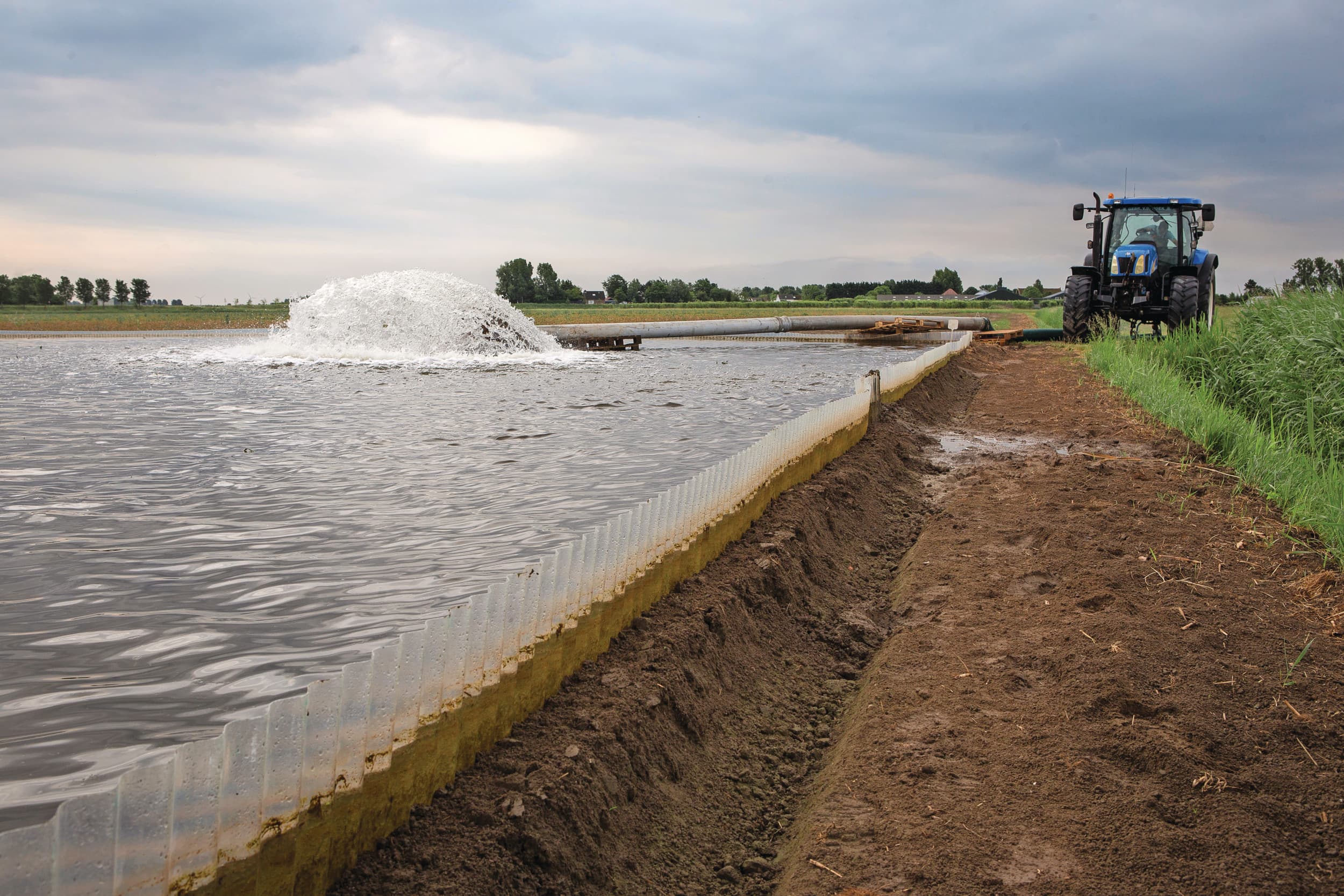 Inunderen is een bijzonder succesvolle strategie om zonder chemie van aaltjes af te komen. Zowel van Meloidogyne chitwoodi en fallax, als van Globodera-aaltjes die AM veroorzaken en stengelaaltjes. Foto: Peter Roek