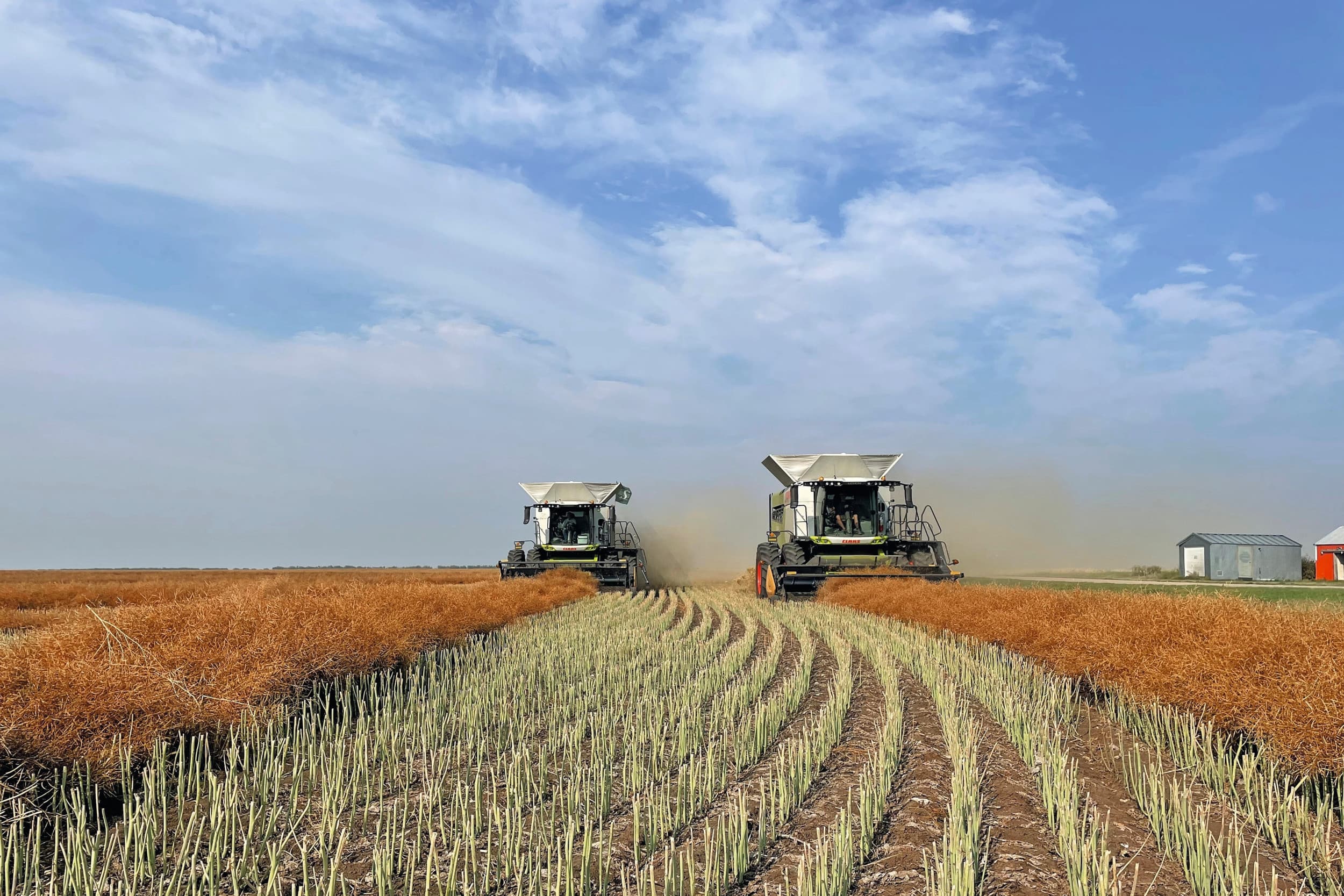 precisielandbouw gewasgenetica akkerbouw