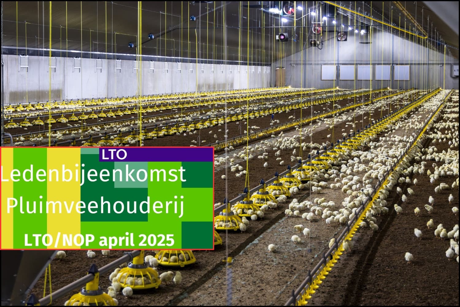 Achtergrond ter illustratie. Foto: Koos Groenewold. Afbeelding inzet: LTO/NOP
