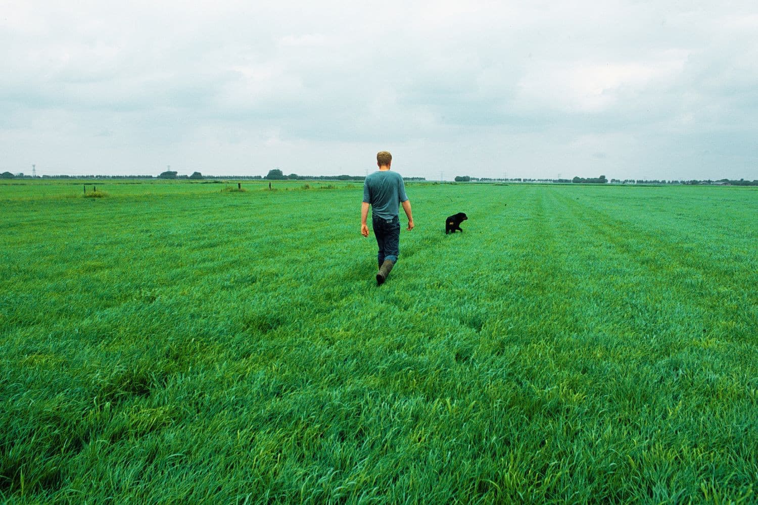 De grote belangstelling voor vestigingssteun toont dat veel jonge boeren vertrouwen hebben in de toekomst van de sector, al blijven strikte voorwaarden en beperkte middelen een struikelblok. Foto: Mark Pasveer