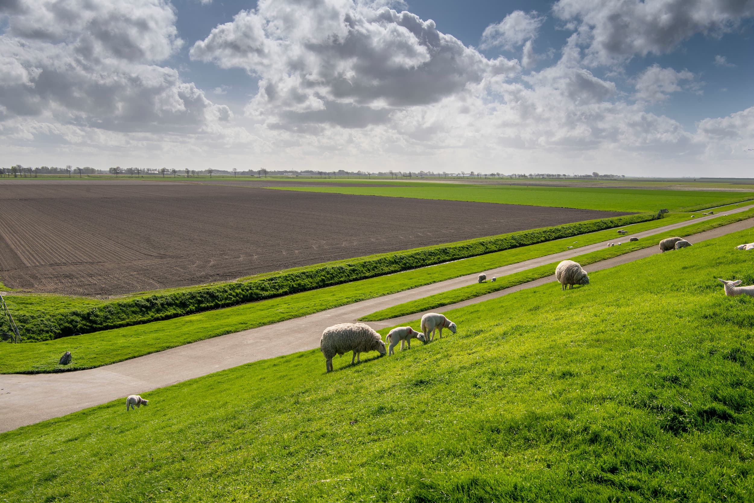 landbouwbeleid grondmarkt landbouwgrond