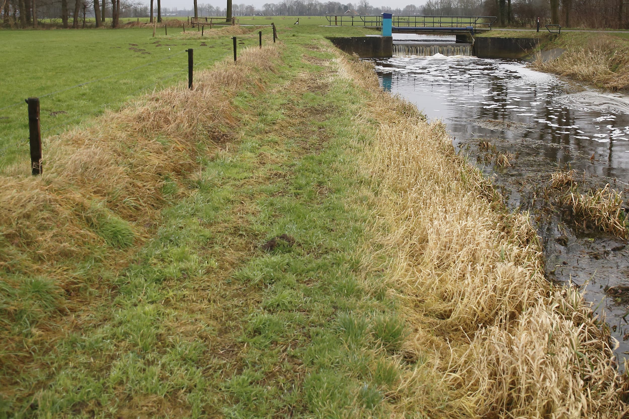 Waterschap Rivierenland onderzoekt of 100 hectare grond onrechtmatig is gebruikt door boeren, bedrijven en bewoners. Foto ter illustratie. Foto: Hans Prinsen