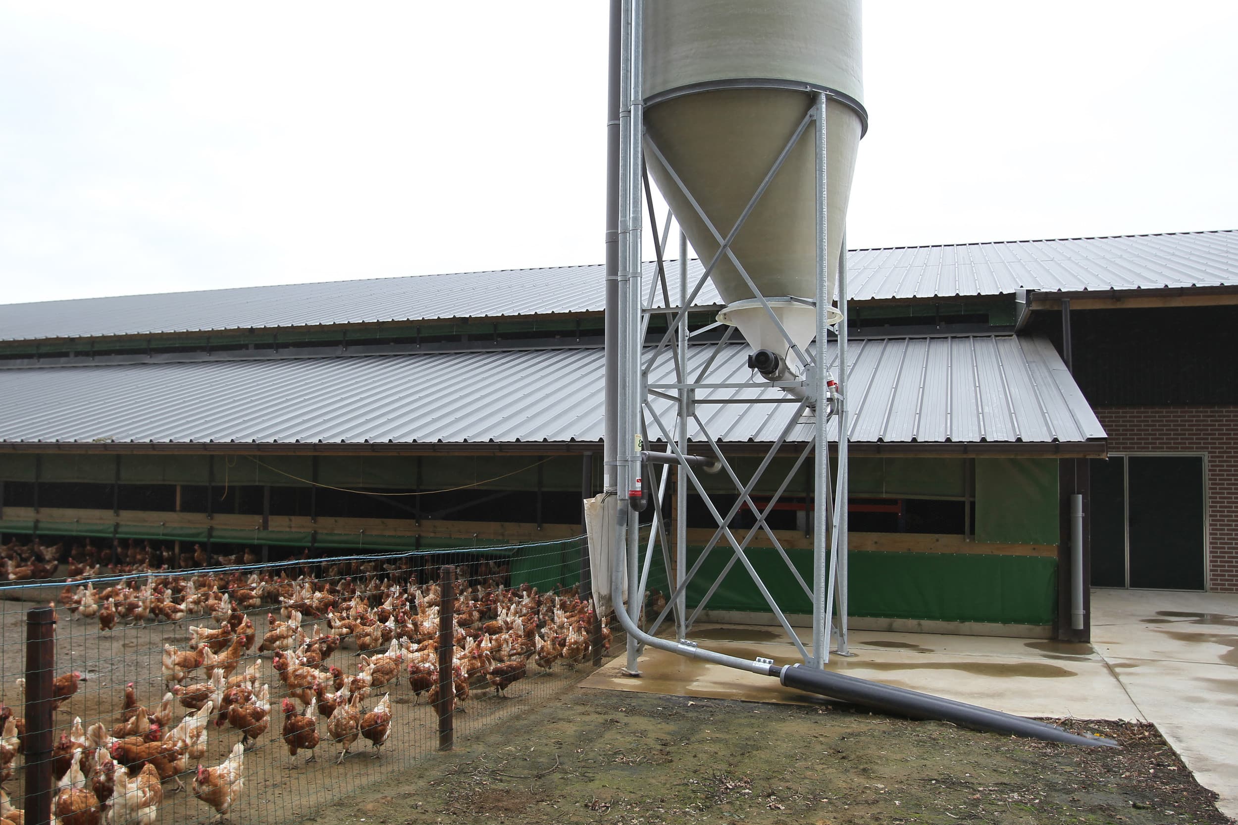 milieu dierenwelzijn pluimveehouderij Frankrijk