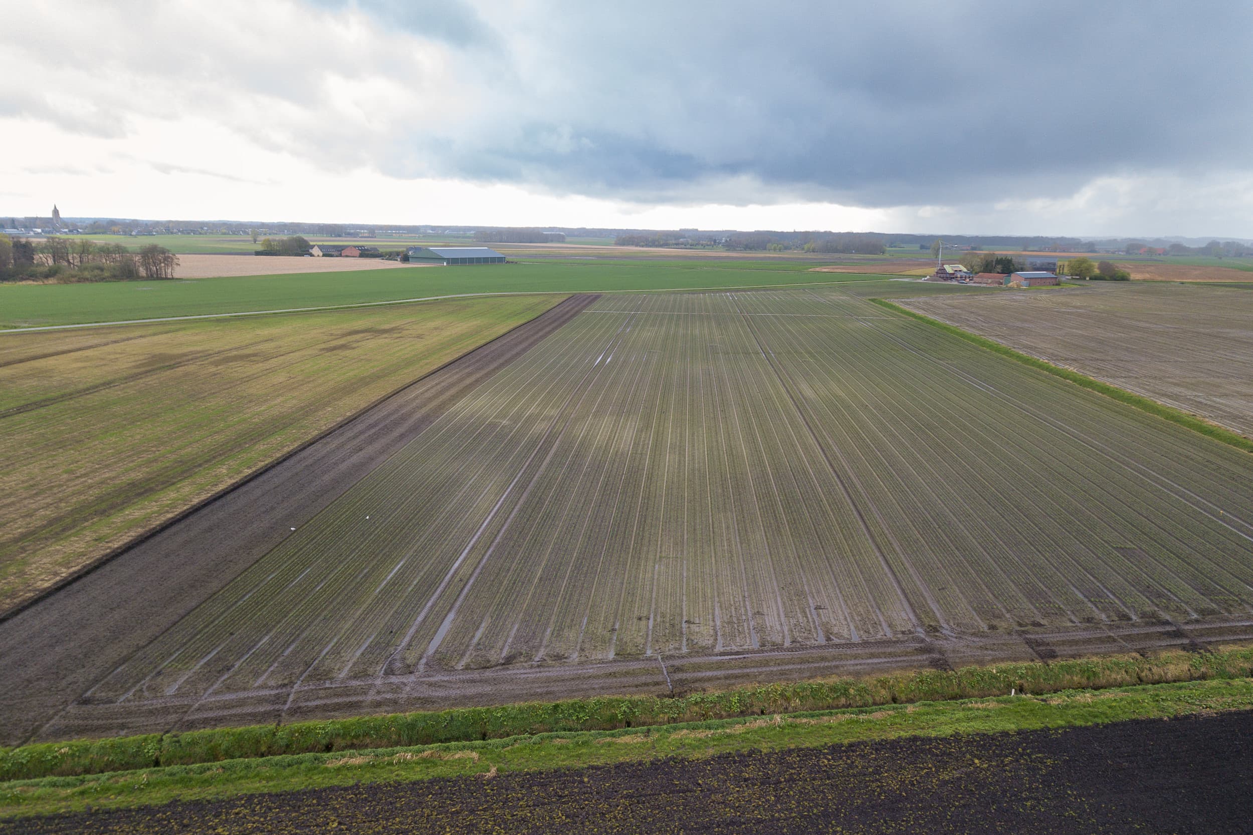 In Noord-Brabant ligt de gemiddelde prijs met €102.078 boven een ton per hectare, in Zeeland op €96.428 per hectare. Foto: Peter Roek