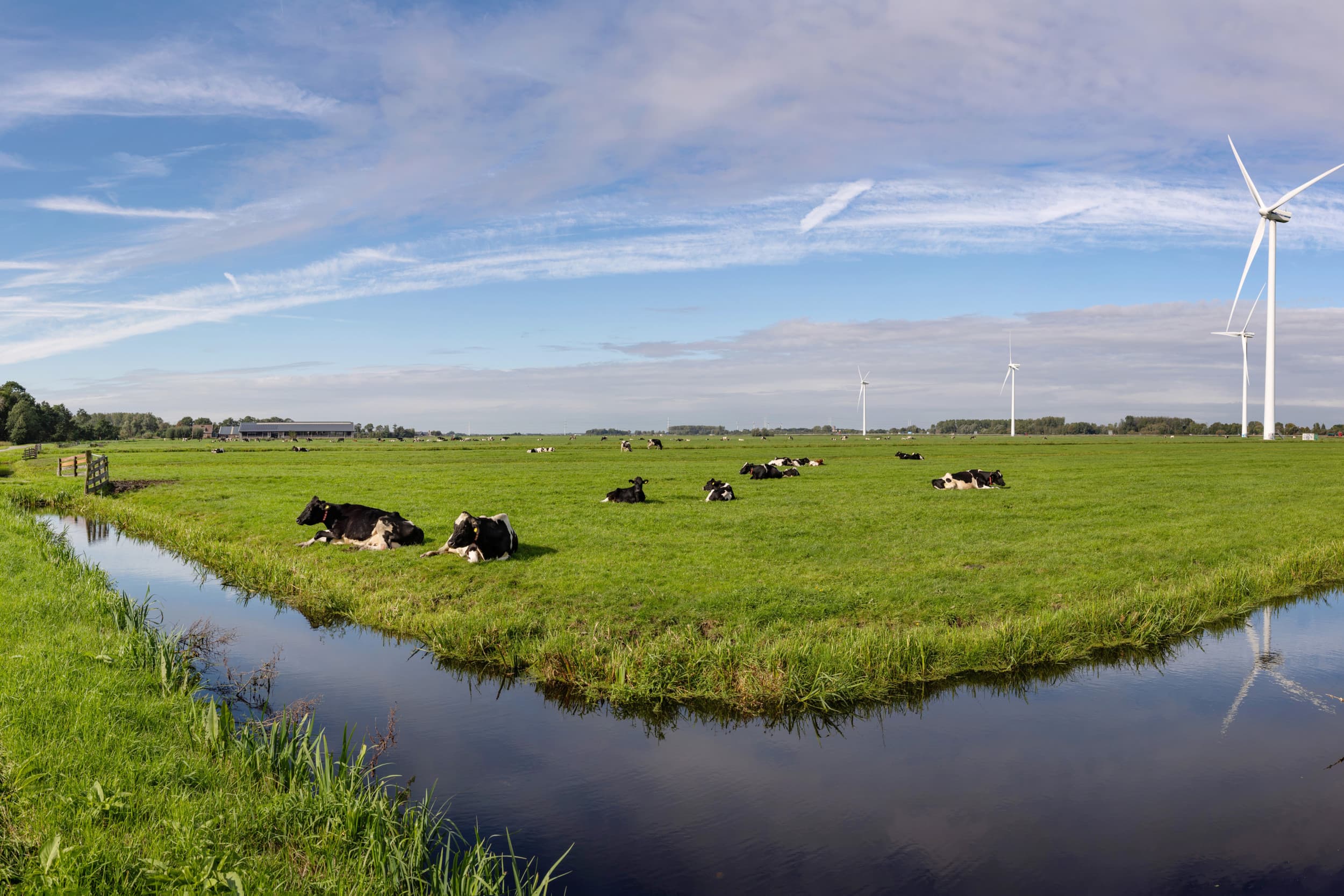 Polder Alphen aan den Rijn in de provincie Zuid-Holland. Foto: Herbert Wiggerman