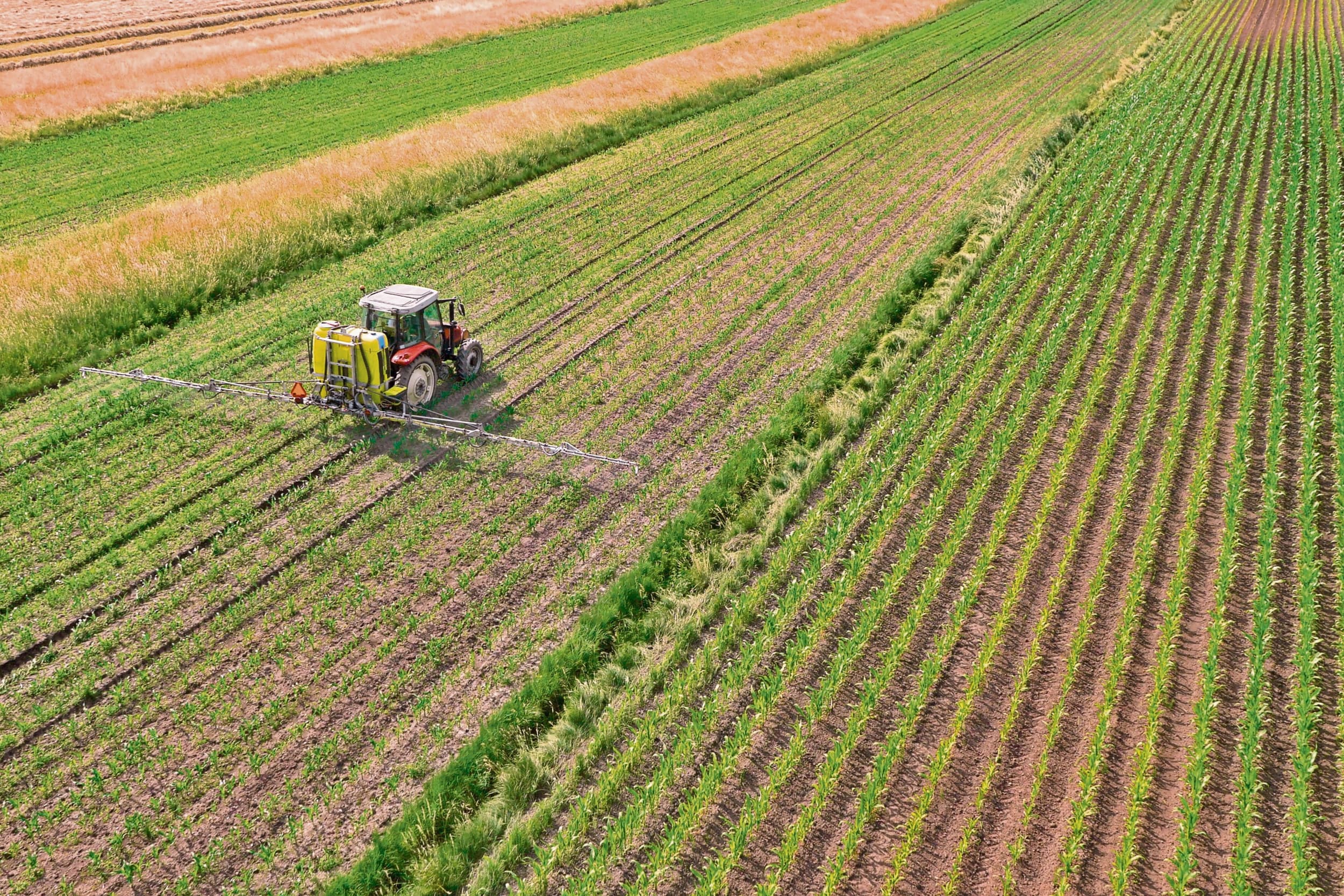 Ontwerp zGewasbescherming. Met het Uitvoeringsprogramma Toekomstvisie Gewasbescherming 2030 denkt landbouwminister Femke Wiersma zonder tussendoelen het gewasbeschermingsmiddelengebruik te kunnen verminderen. Foto: Canva/simonkronder titel