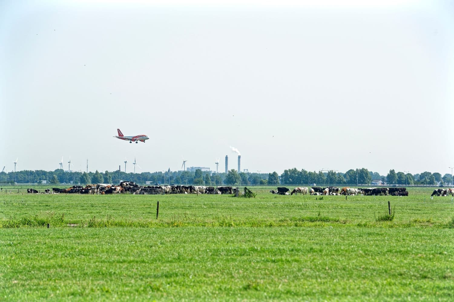 De provincie Noord-Holland vraagt 450 miljoen euro van het Rijk voor natuurherstel en stikstofreductie. Foto: Lex Salverda