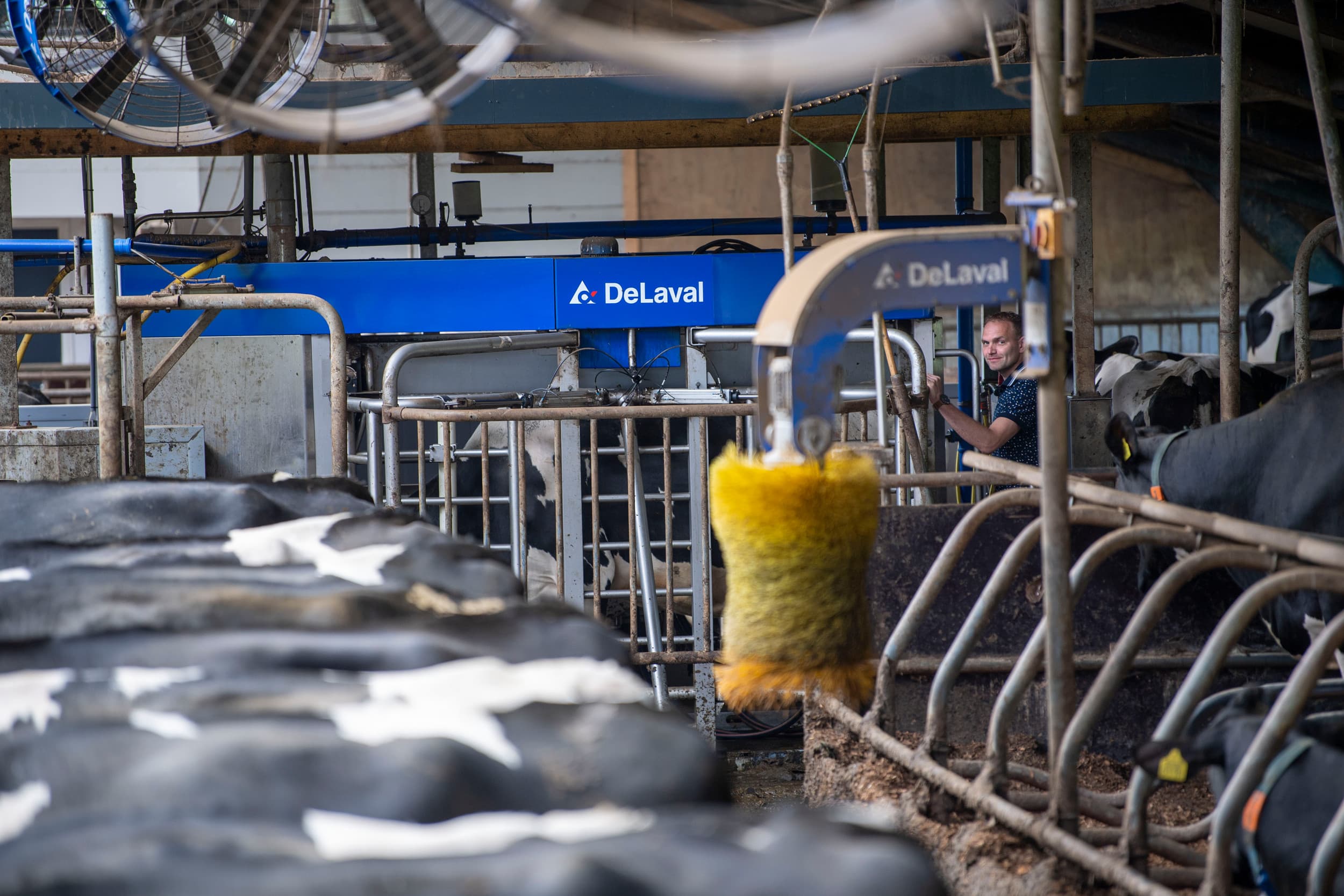 Melkrobots blijven populair in Nederland: ruim 5.100 bedrijven gebruiken er een. Tegelijk neemt het aantal traditionele melkstallen steeds sneller af. Foto: Mark Pasveer