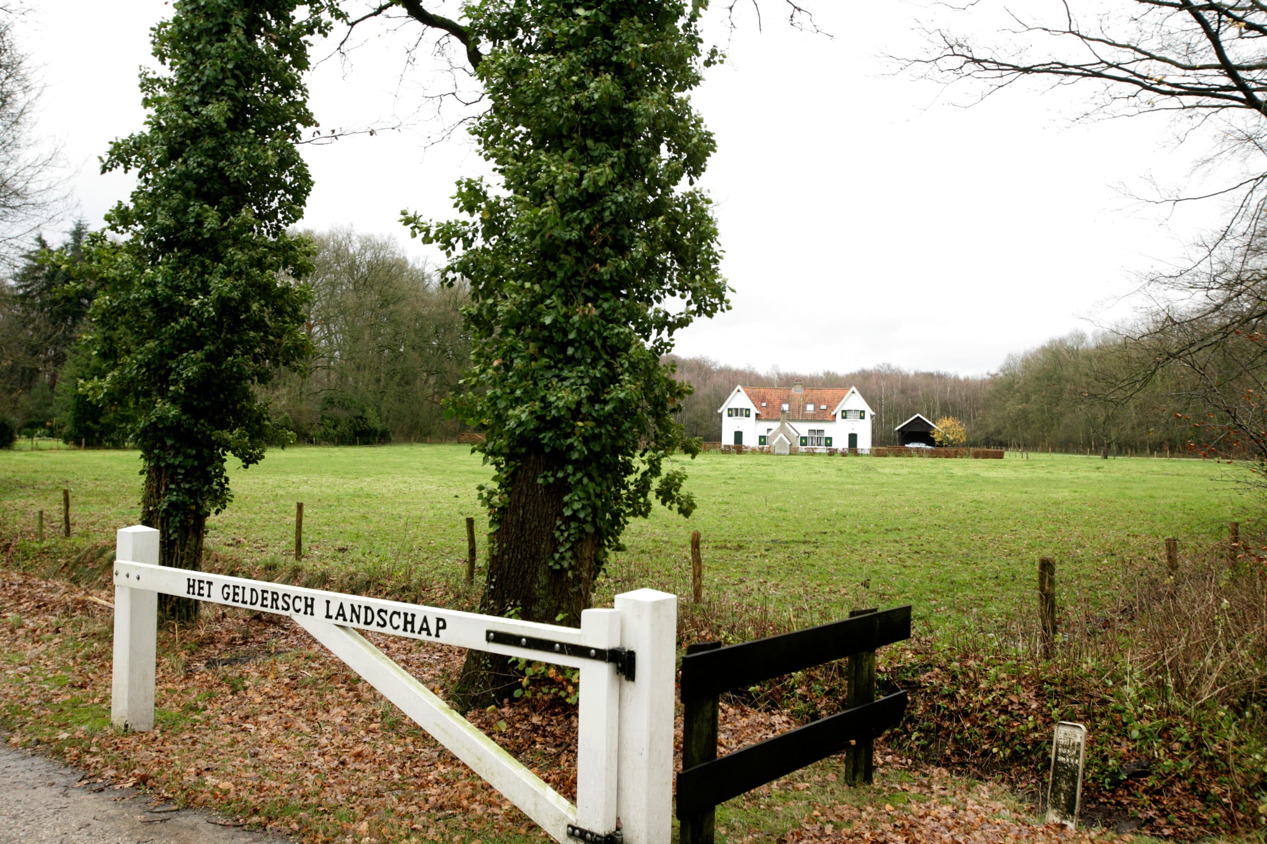 Landschap rond Staverden aan de noordkant van de Veluwe. Foto: Koos Groeneveld.