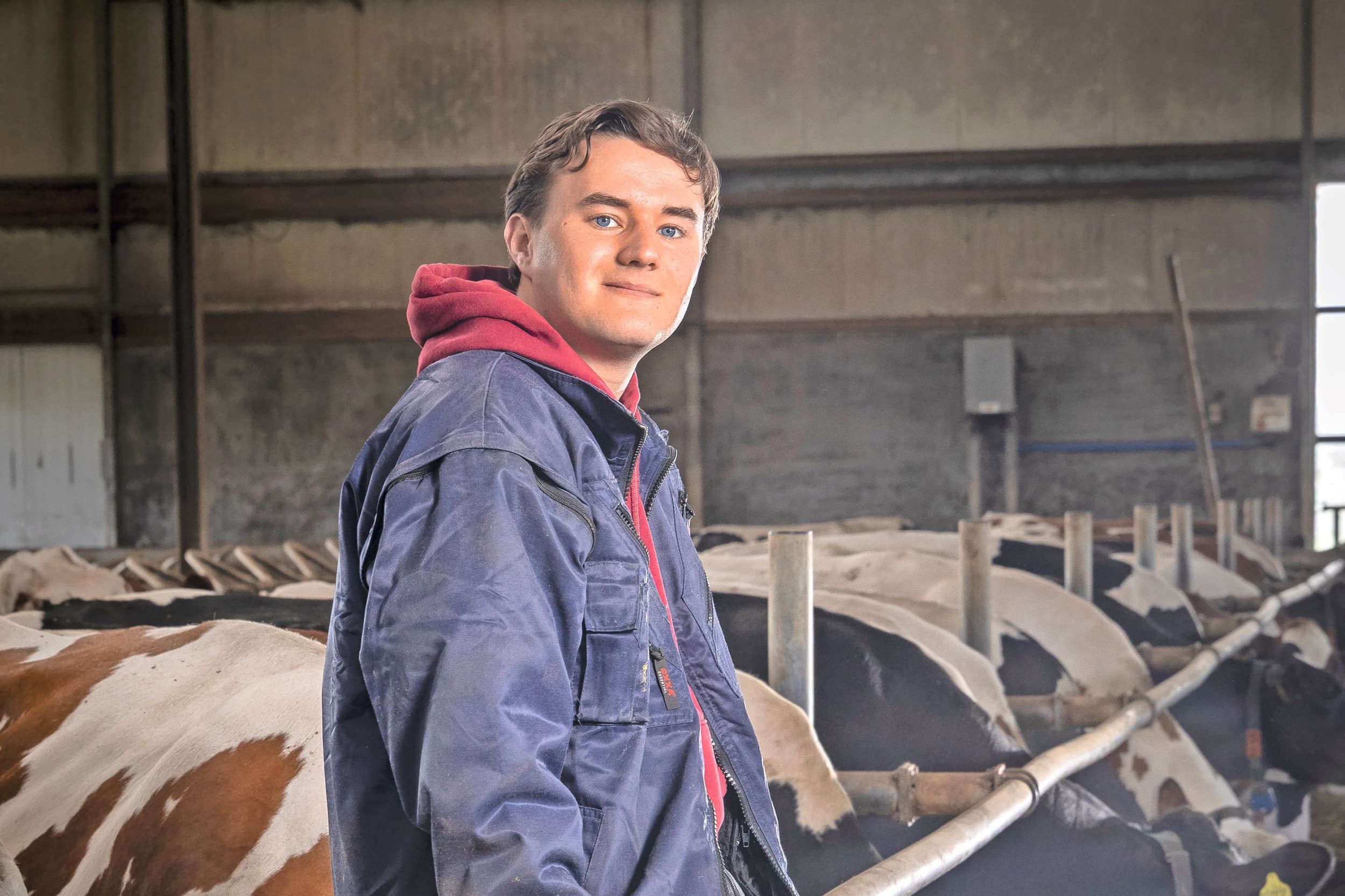 Gijs van Dee studeert nog, maar helpt waar nodig mee op het melkveebedrijf van zijn ouders in IJzendoorn. Foto: Koos Groenewold