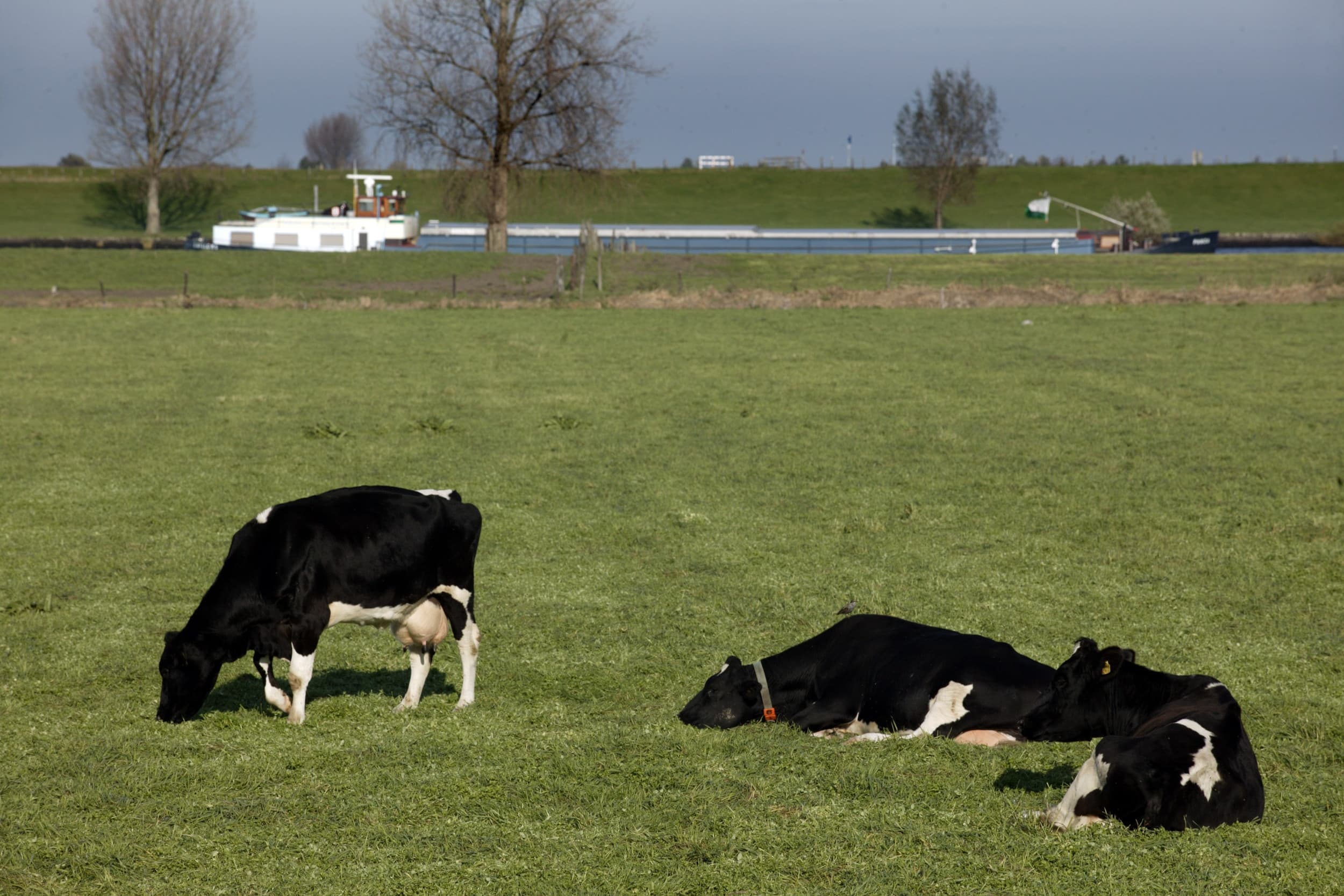 ontrekkingsverbod oppervlaktewater Brabant