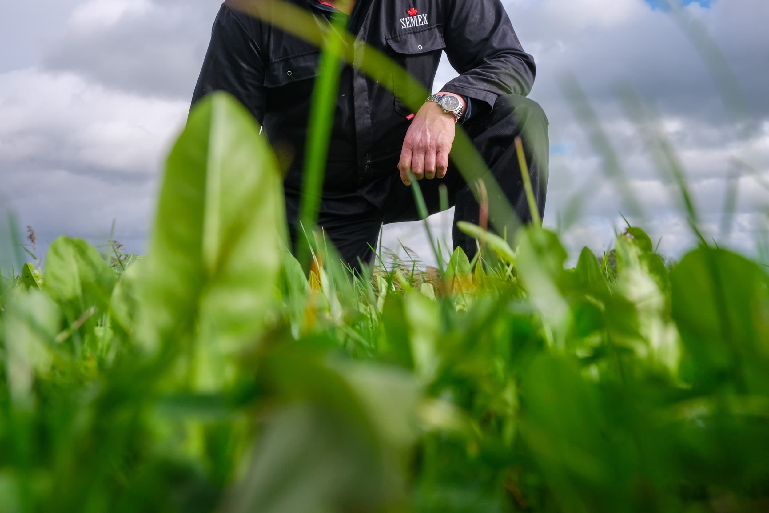 Melkveehouders kunnen gratis advies en een vergoeding krijgen via het project ‘Agrarisch Natuurlijk’ om natuurinclusief boeren beter in hun bedrijfsvoering te integreren. Foto: Jan Willem van Vliet