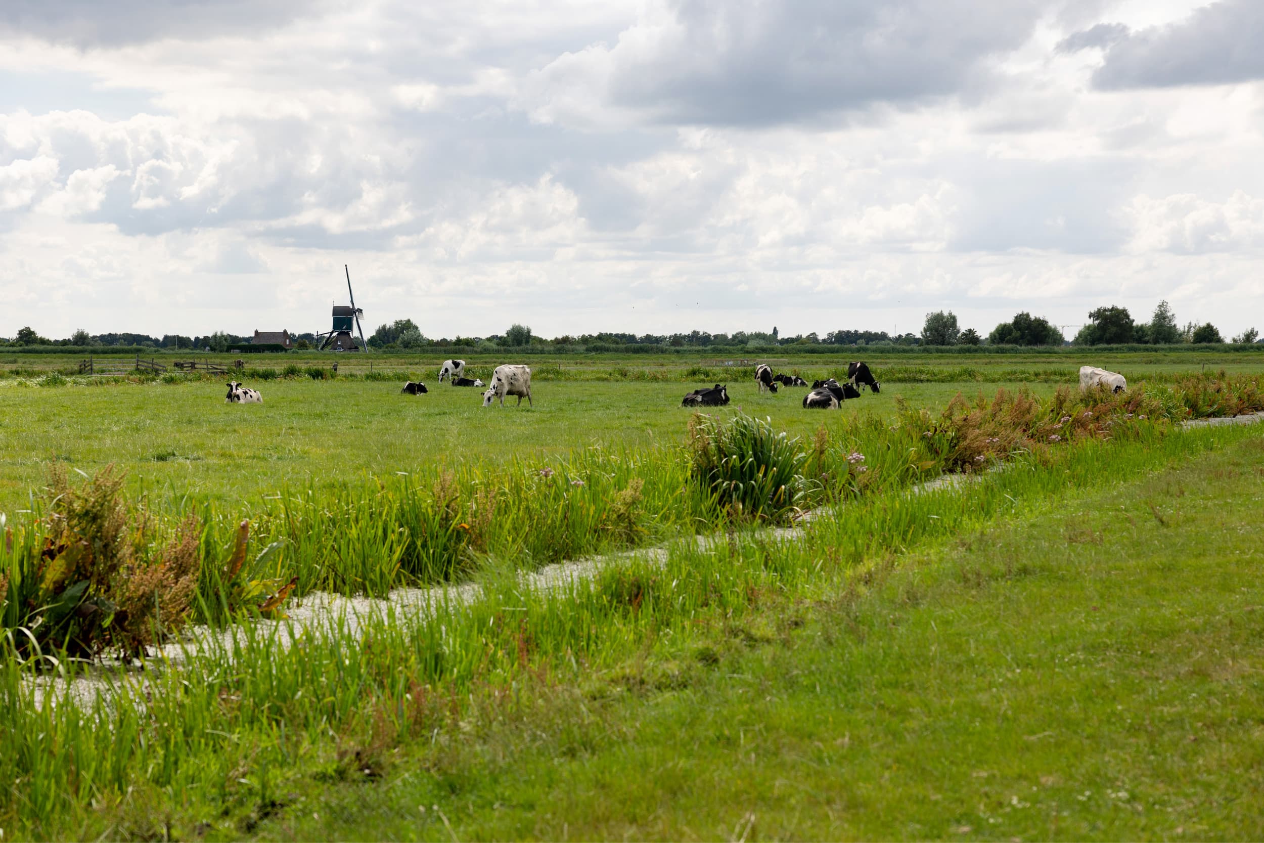 promotieweek Nederlandse landbouwproducten
