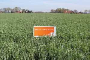 Snelle Lente Rogge.