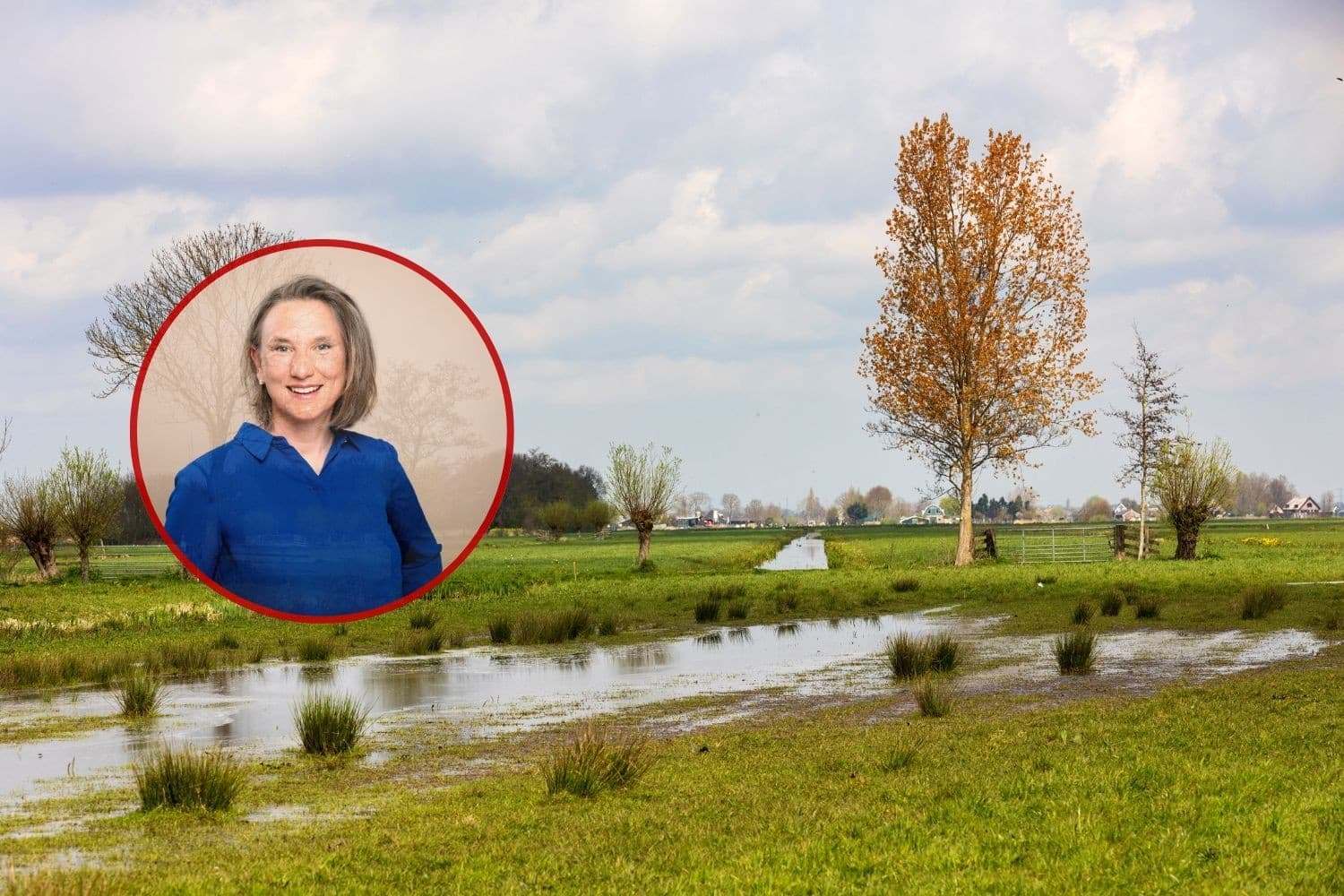 Laura Bromet: “Ons doel is het aantal dieren verminderen, niet het aantal boeren.” Foto: Canva/inzet: GroenLinks