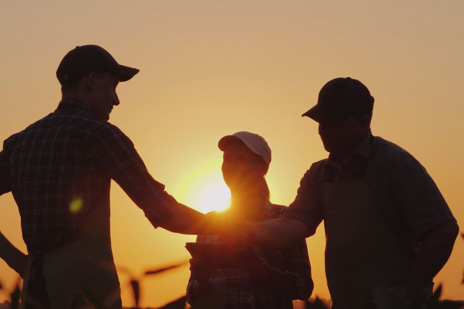 Generatie-opvolging in familiebedrijven vraagt om wederzijds begrip, samenwerking en het loslaten van oude patronen, met oog voor veranderende toekomstperspectieven. Foto: Canva