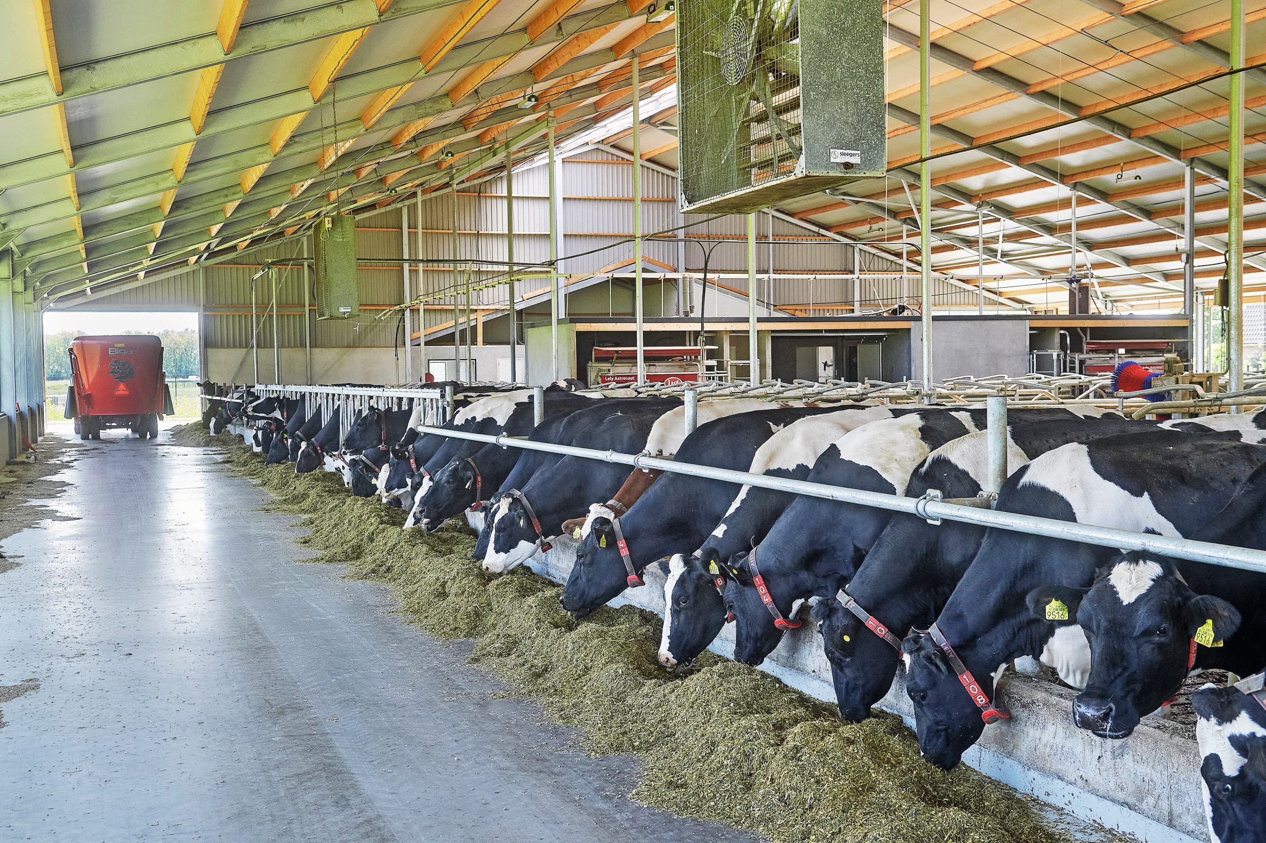 Een deel van de bedrijven is de afgelopen jaren nog wel voor groei gegaan, maar dan binnen de bestaande ruimte in de vergunning en in de stallen. Foto: Van Assendelft